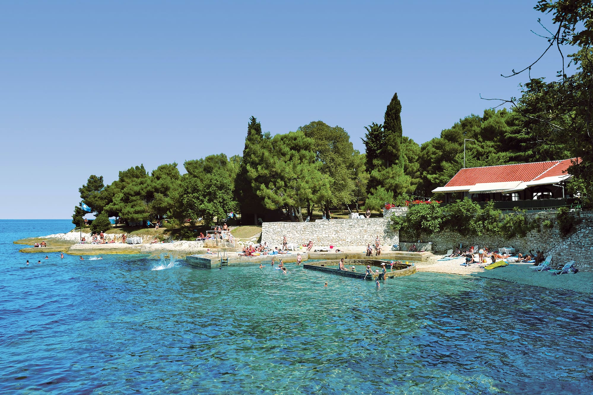 a group of people swimming in a body of water