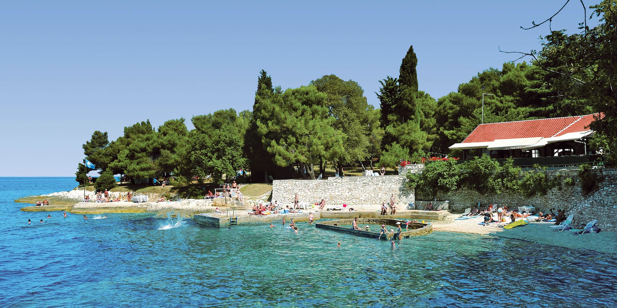 a group of people swimming in a body of water