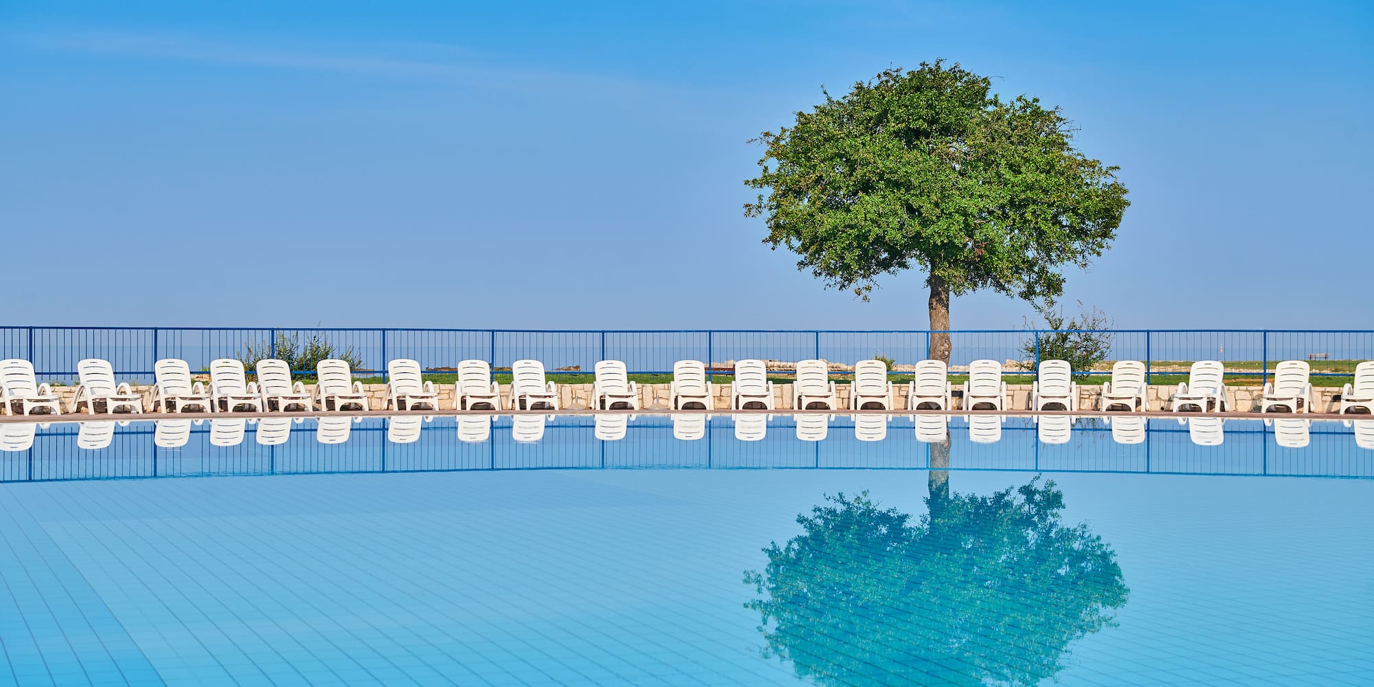 a pool with chairs and a tree