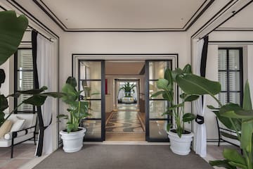 a room with plants in pots