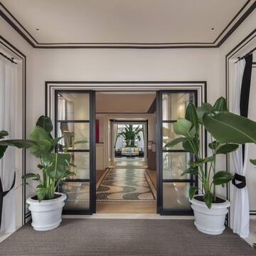 a room with plants in pots