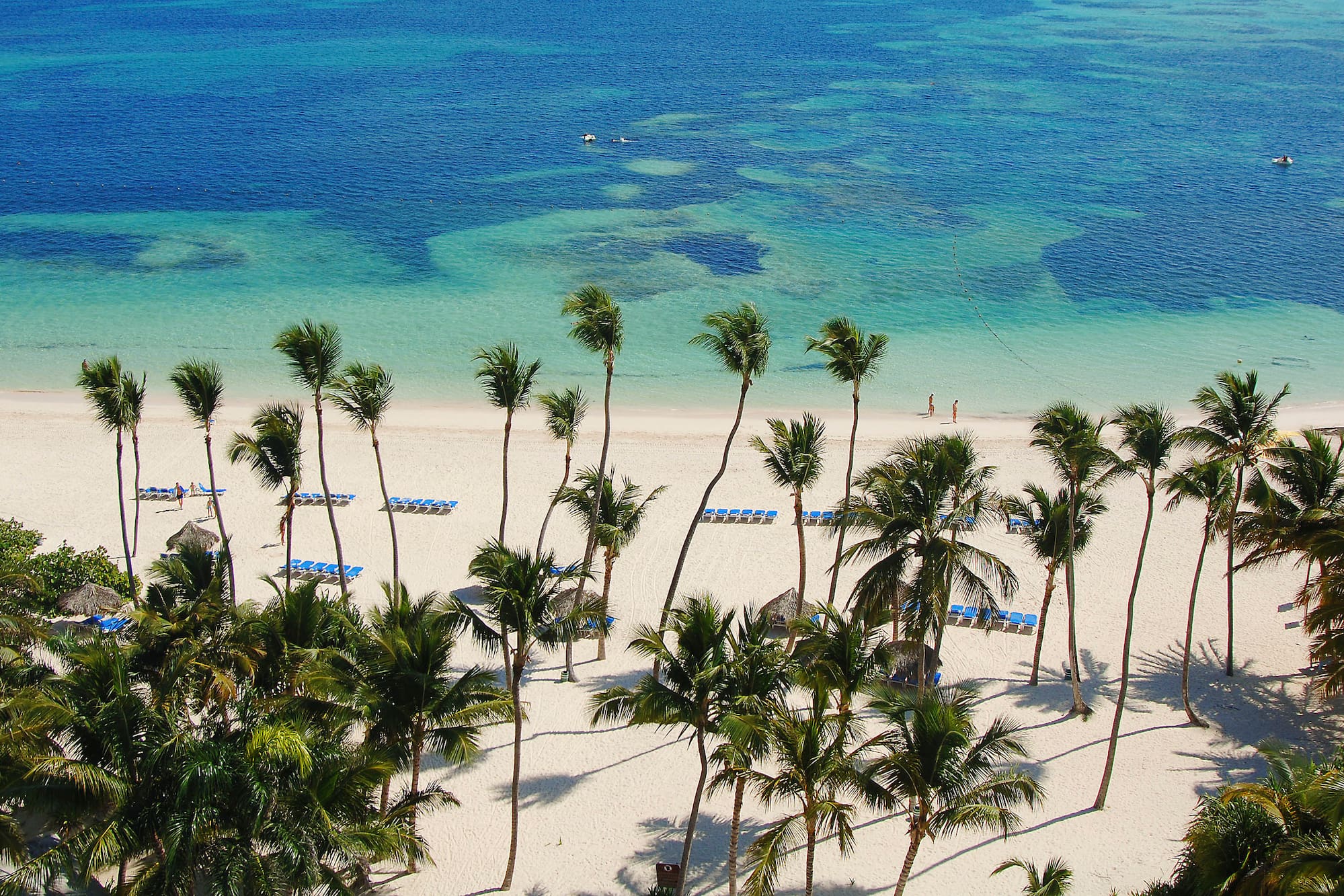 Playa de arena blanca con palmeras, mar azul turquesa y tumbonas en el Caribe.