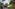 Tropical garden: palm trees, brick path, wooden bridges over a winding pond.