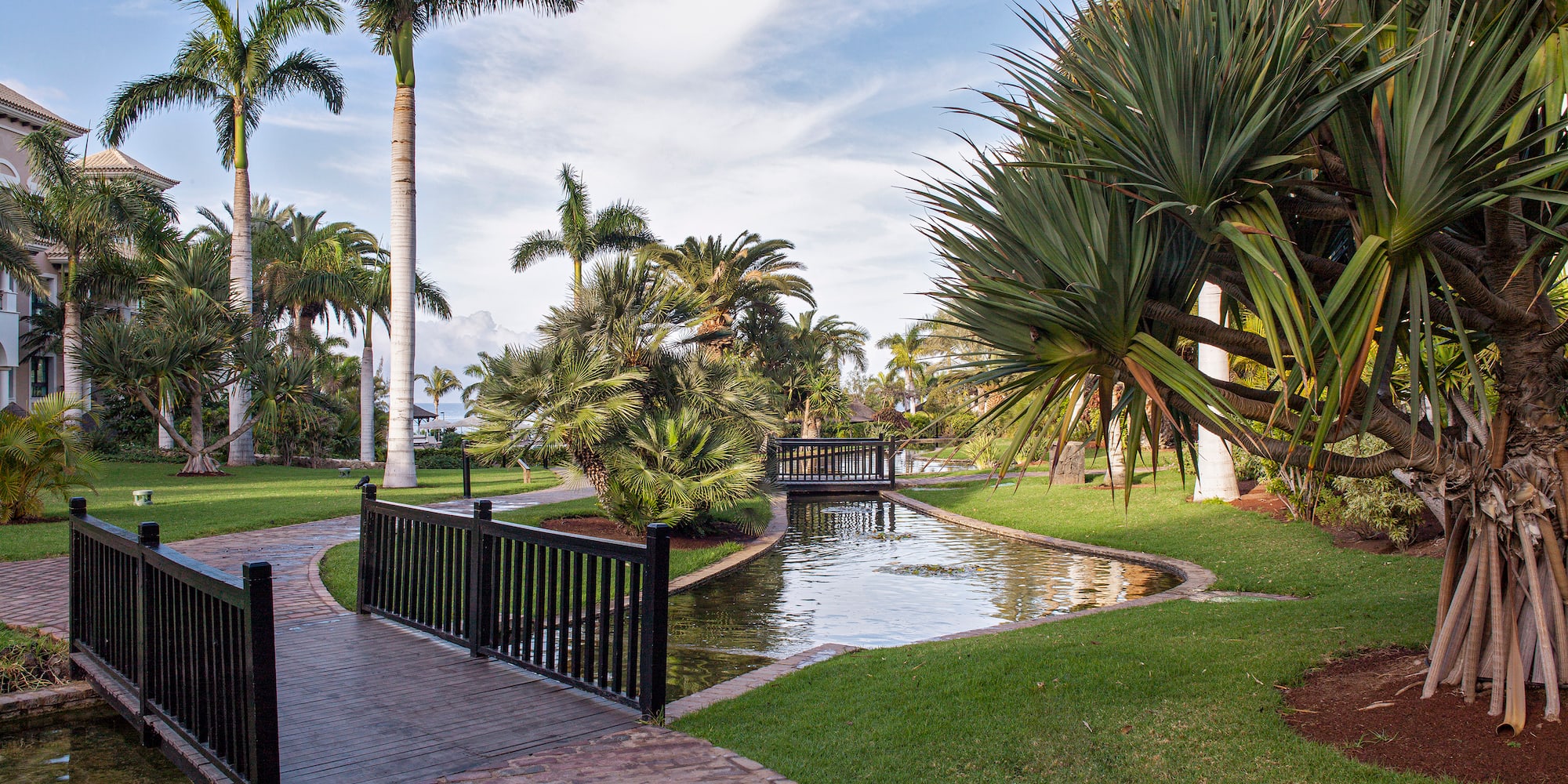 a bridge over a pond with palm trees