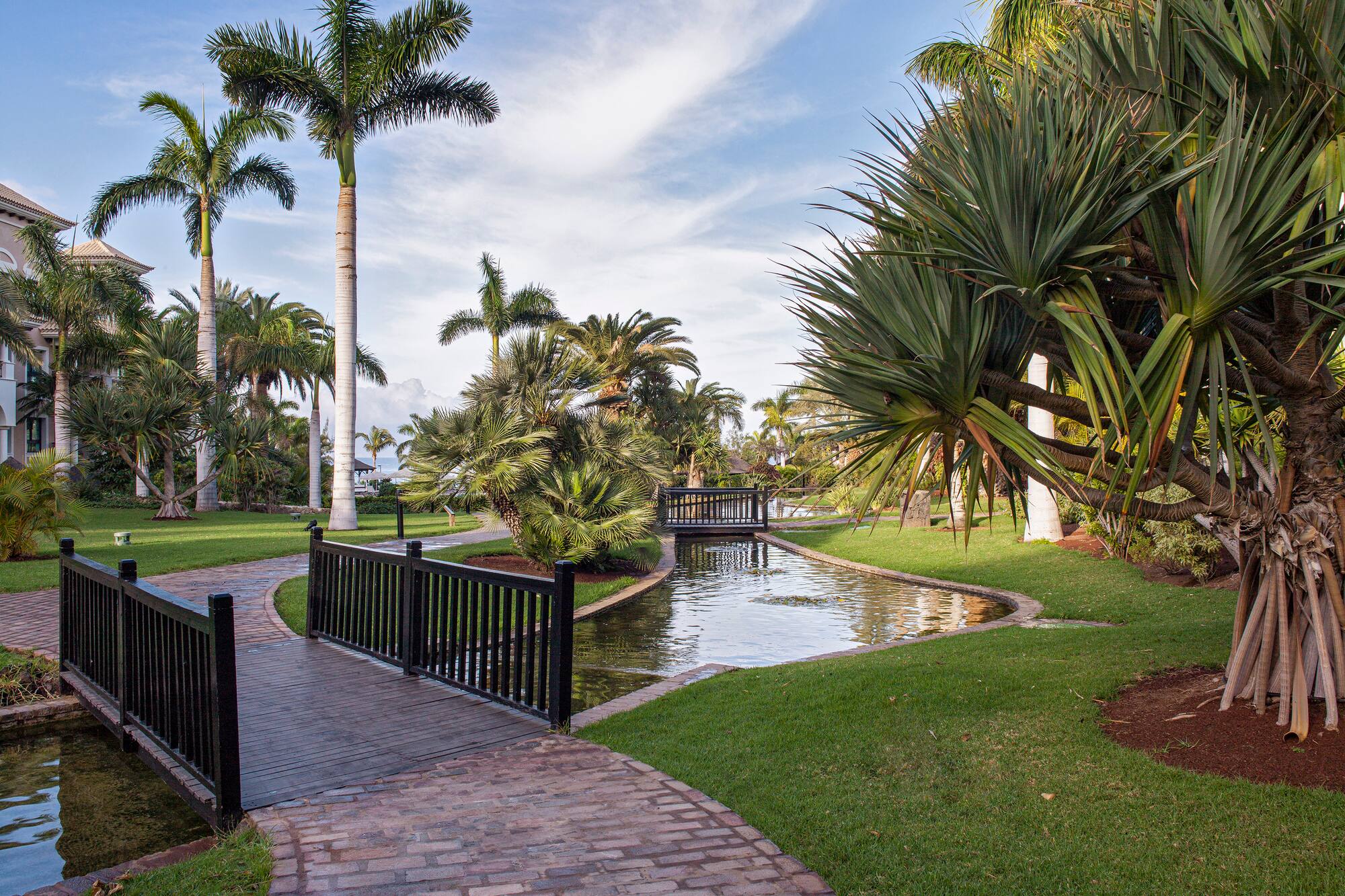 Tropical garden: palm trees, brick path, wooden bridges over a winding pond.