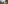 Tropical garden: palm trees, brick path, wooden bridges over a winding pond.