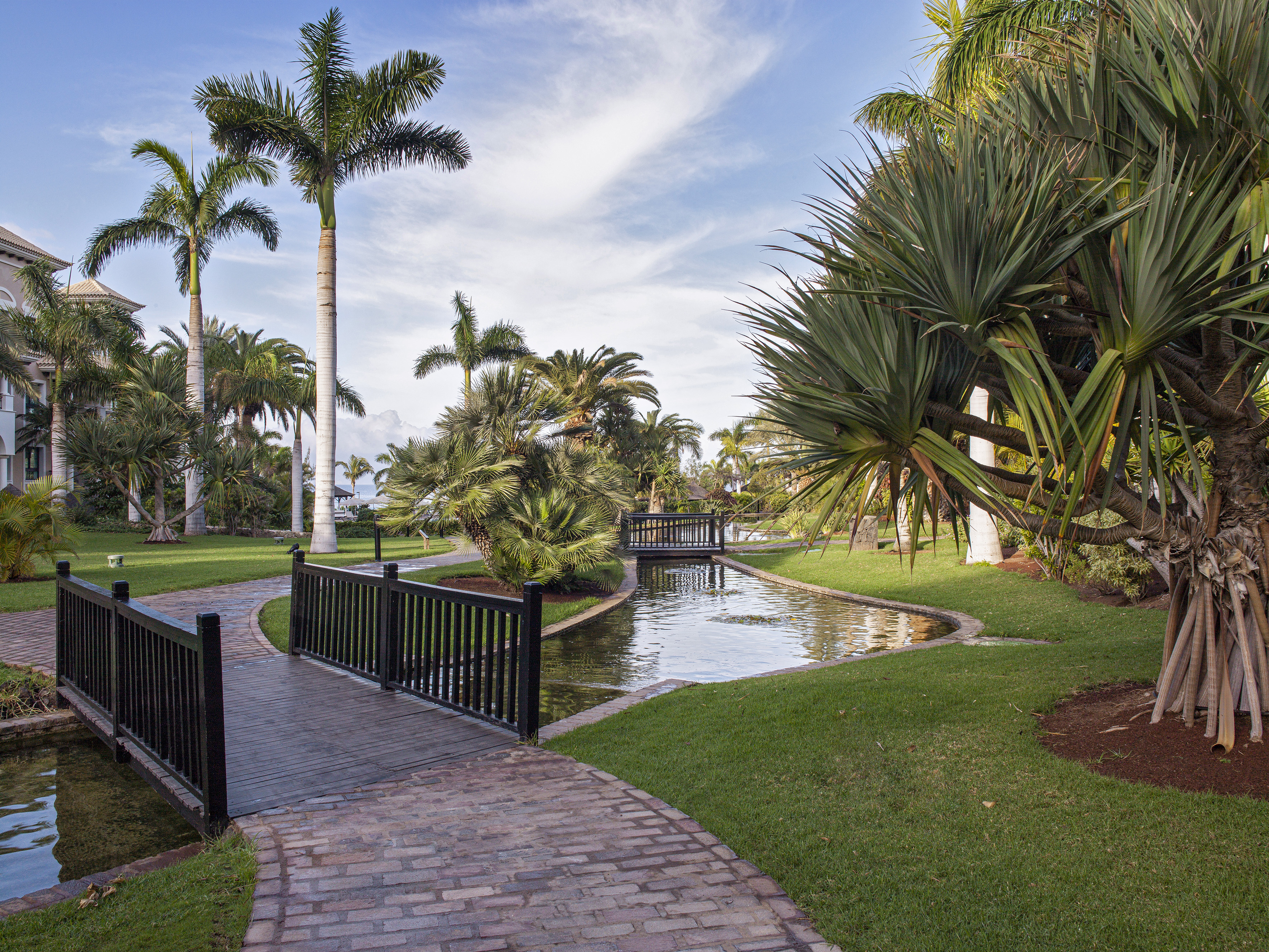 Tropical garden: palm trees, brick path, wooden bridges over a winding pond.