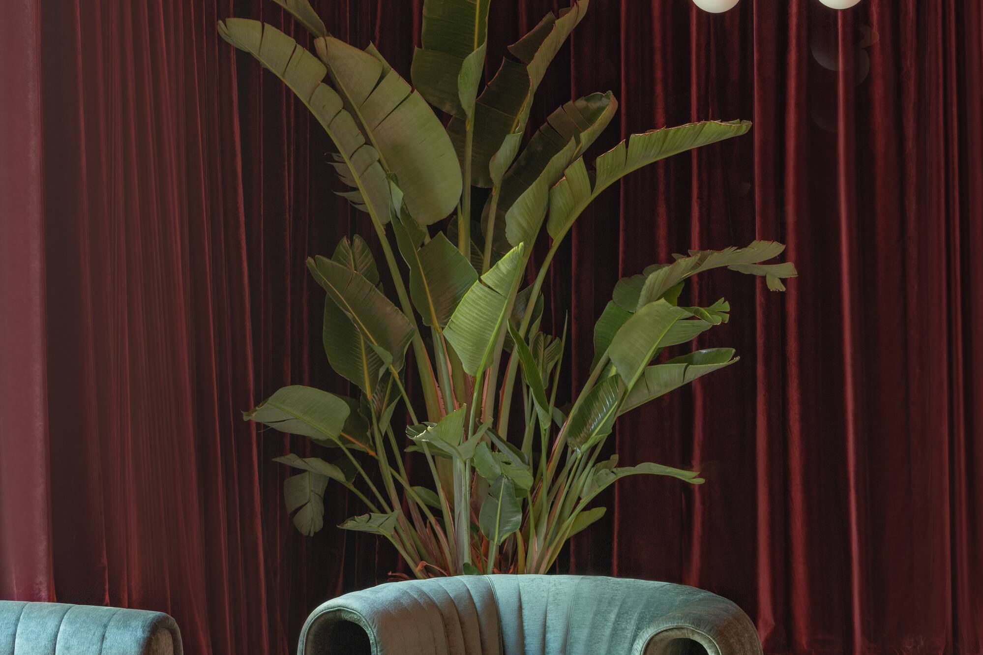 Modern lounge: green velvet chairs, large plant, red curtains, globe chandelier.