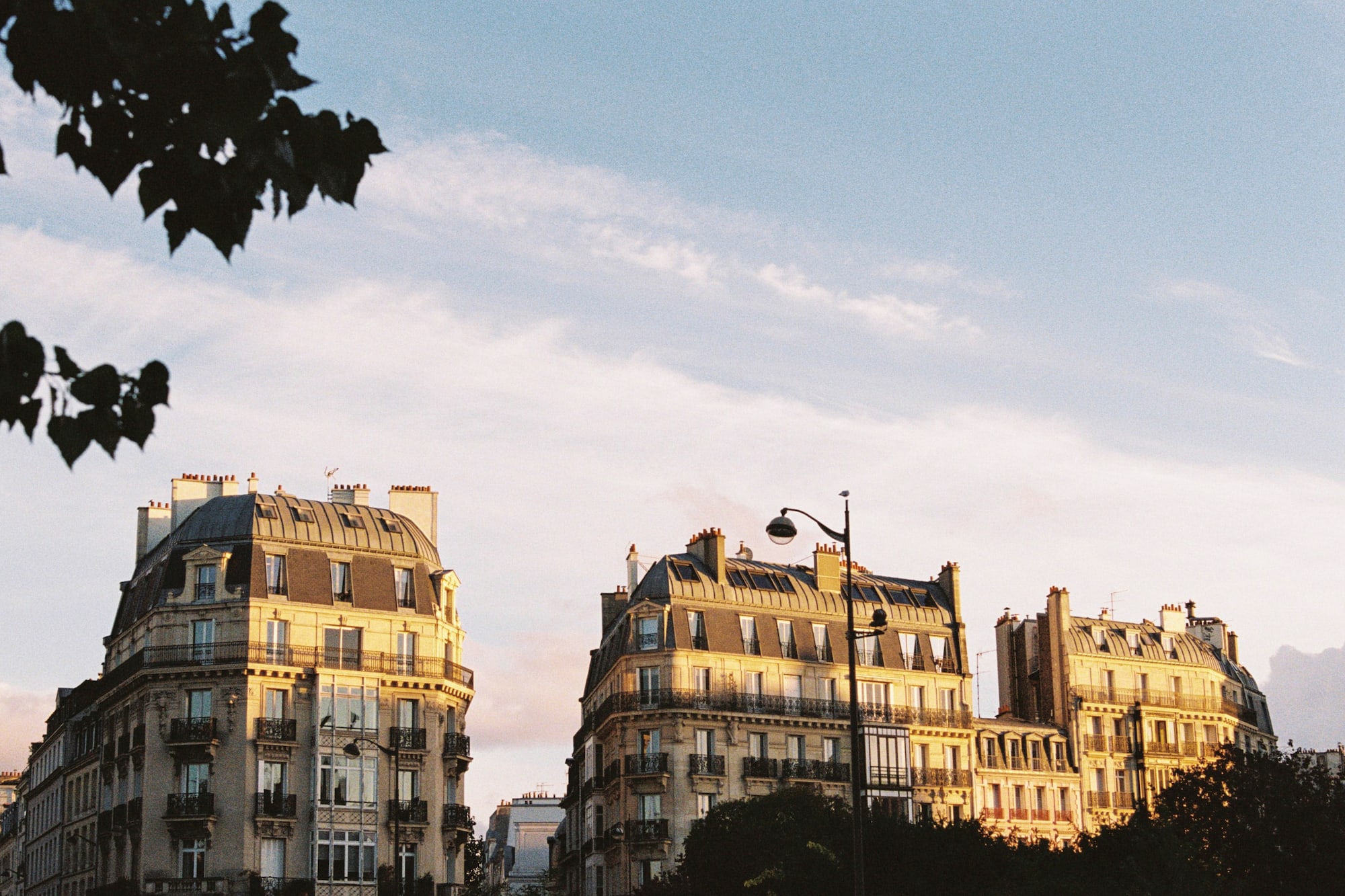 a group of buildings with trees and a street light