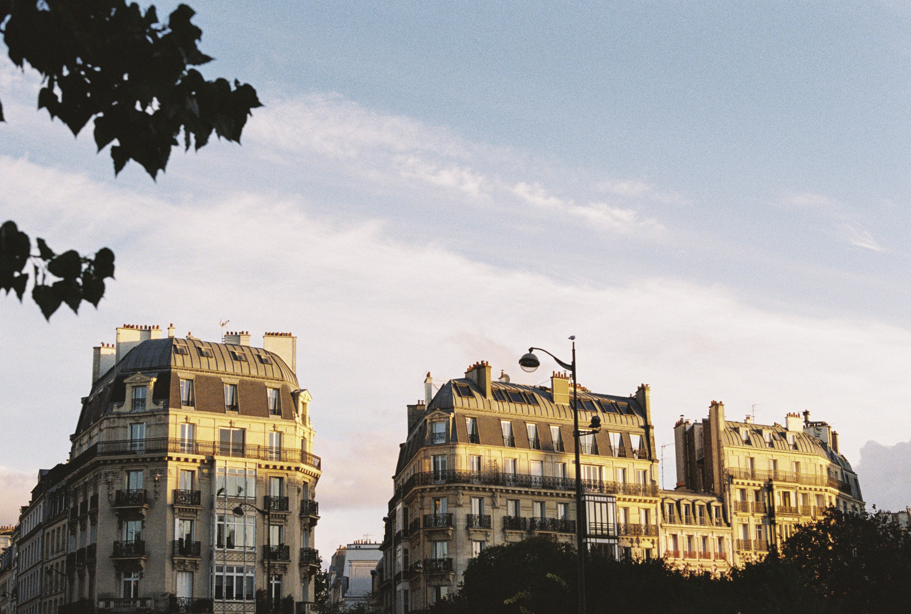 a group of buildings with trees and a street light