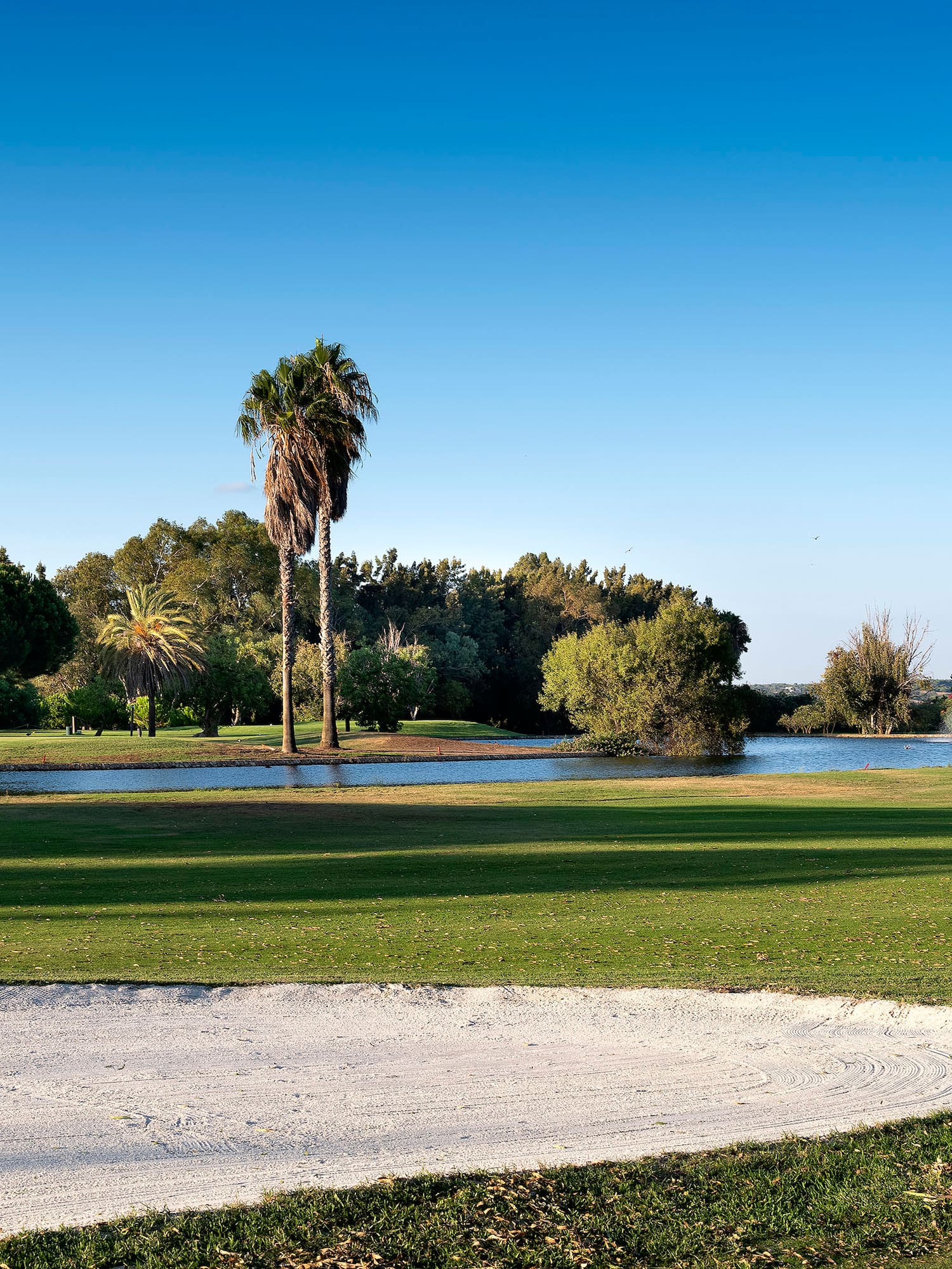 a golf course with a pond and trees