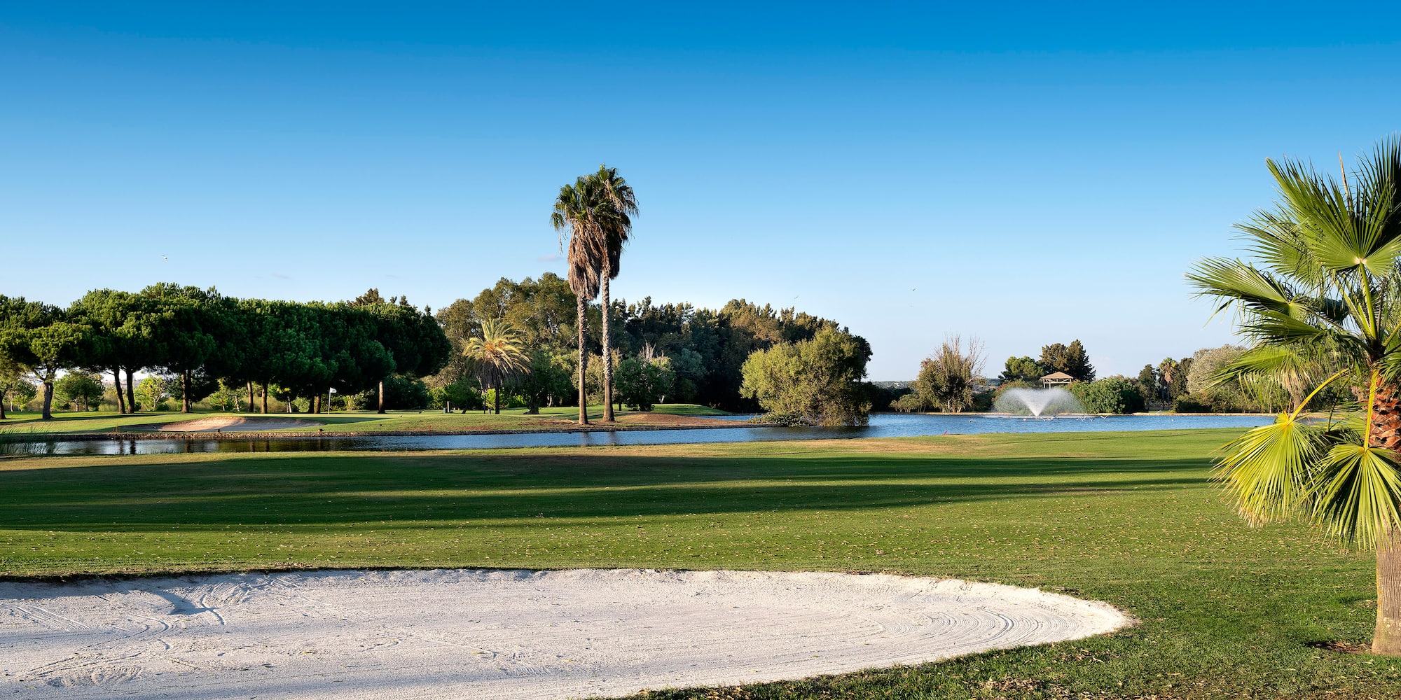 a golf course with a pond and trees