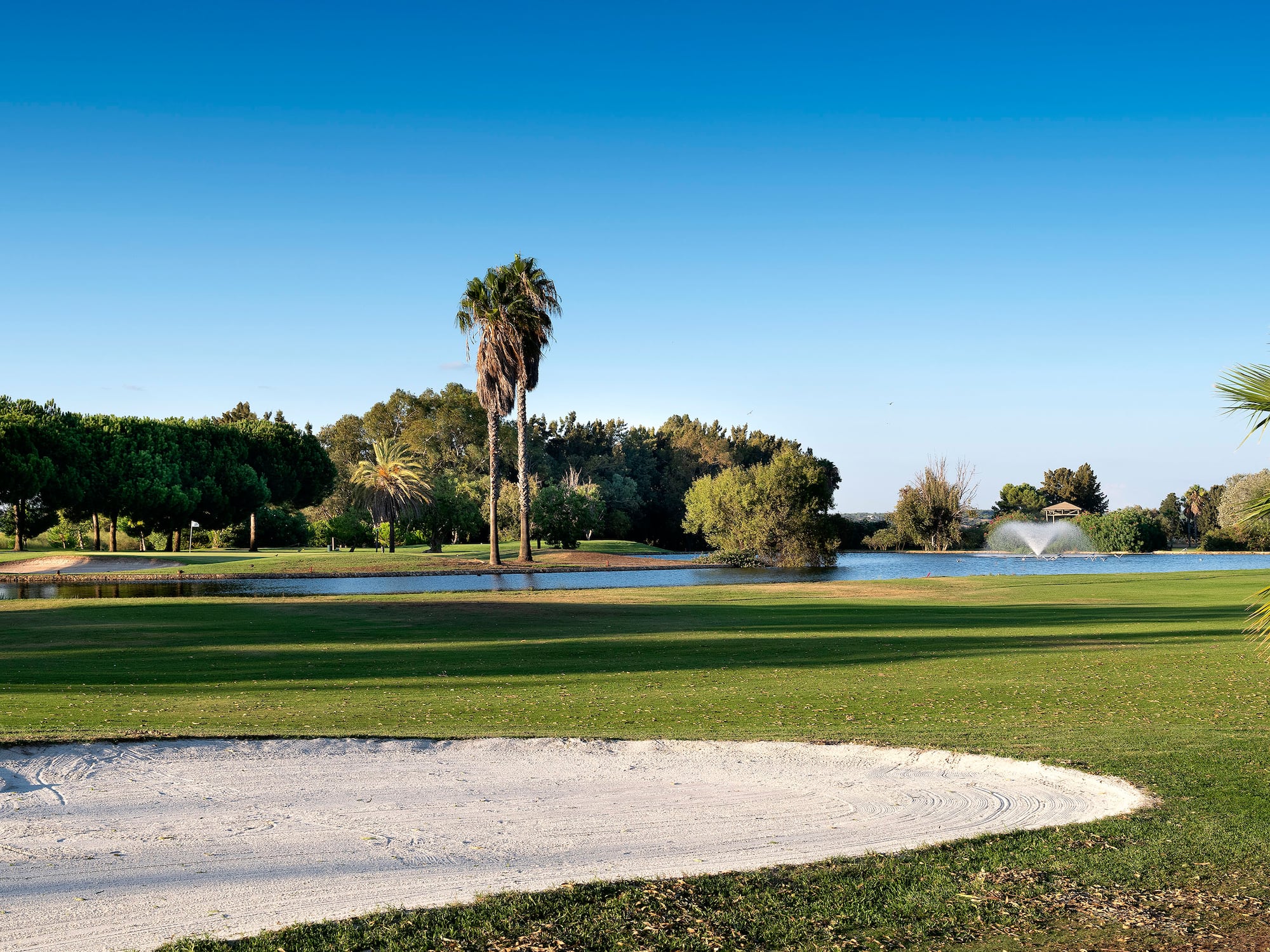 a golf course with a pond and trees