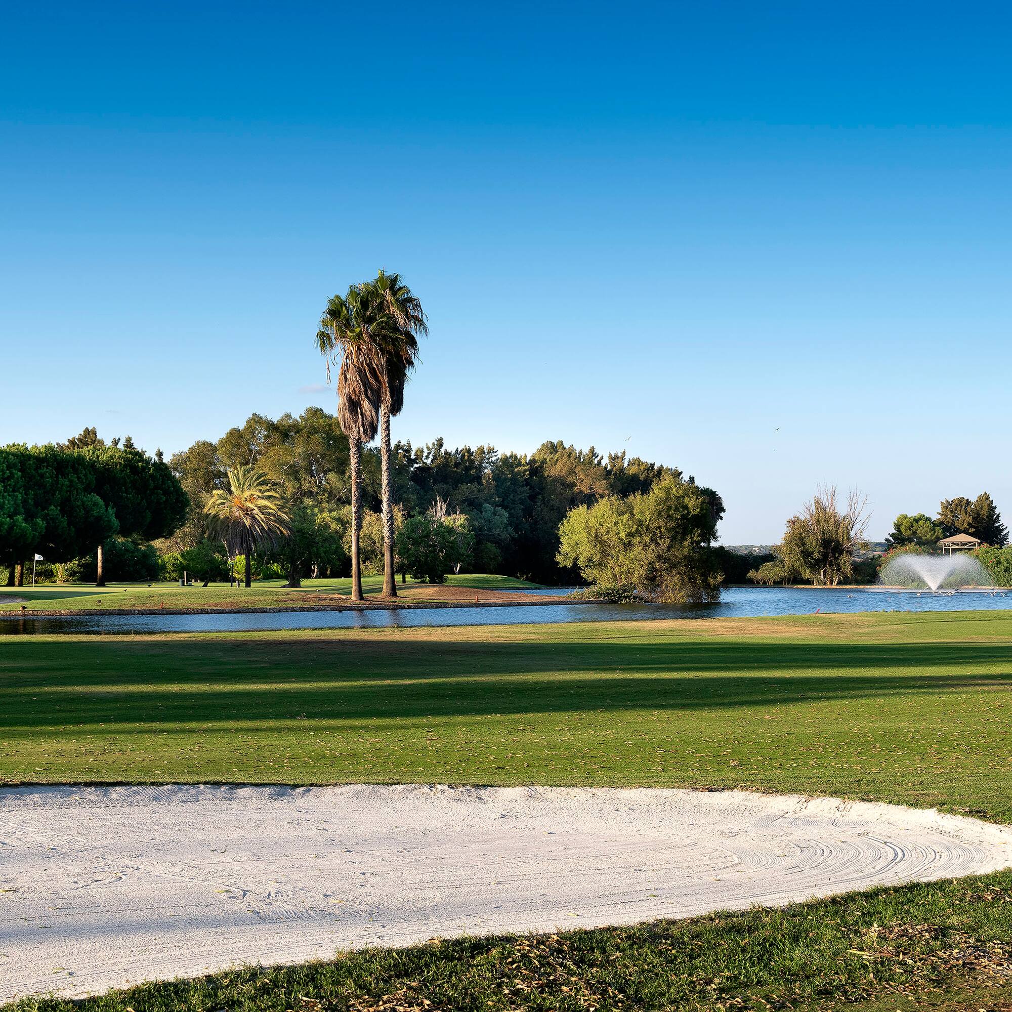 a golf course with a pond and trees