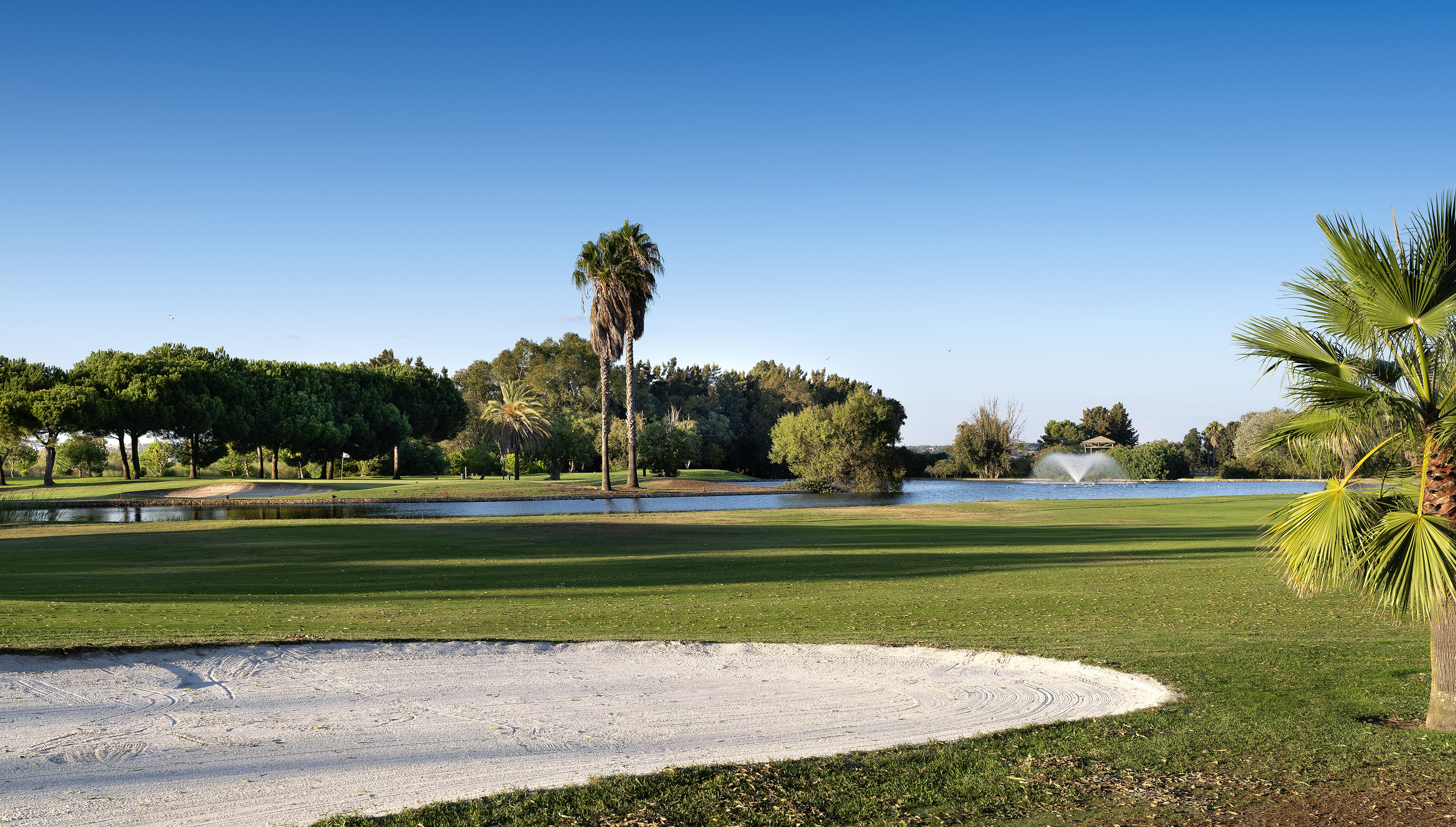 Golf course, sand trap, lake with fountain, green fairway, palm trees.