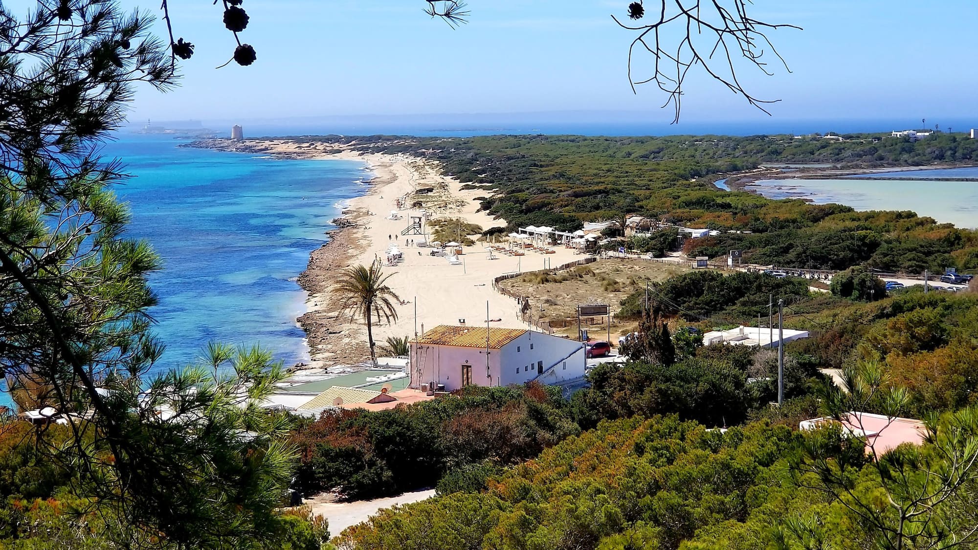 Sandy beach, turquoise sea, pine forest, coastal houses, and salt flats.