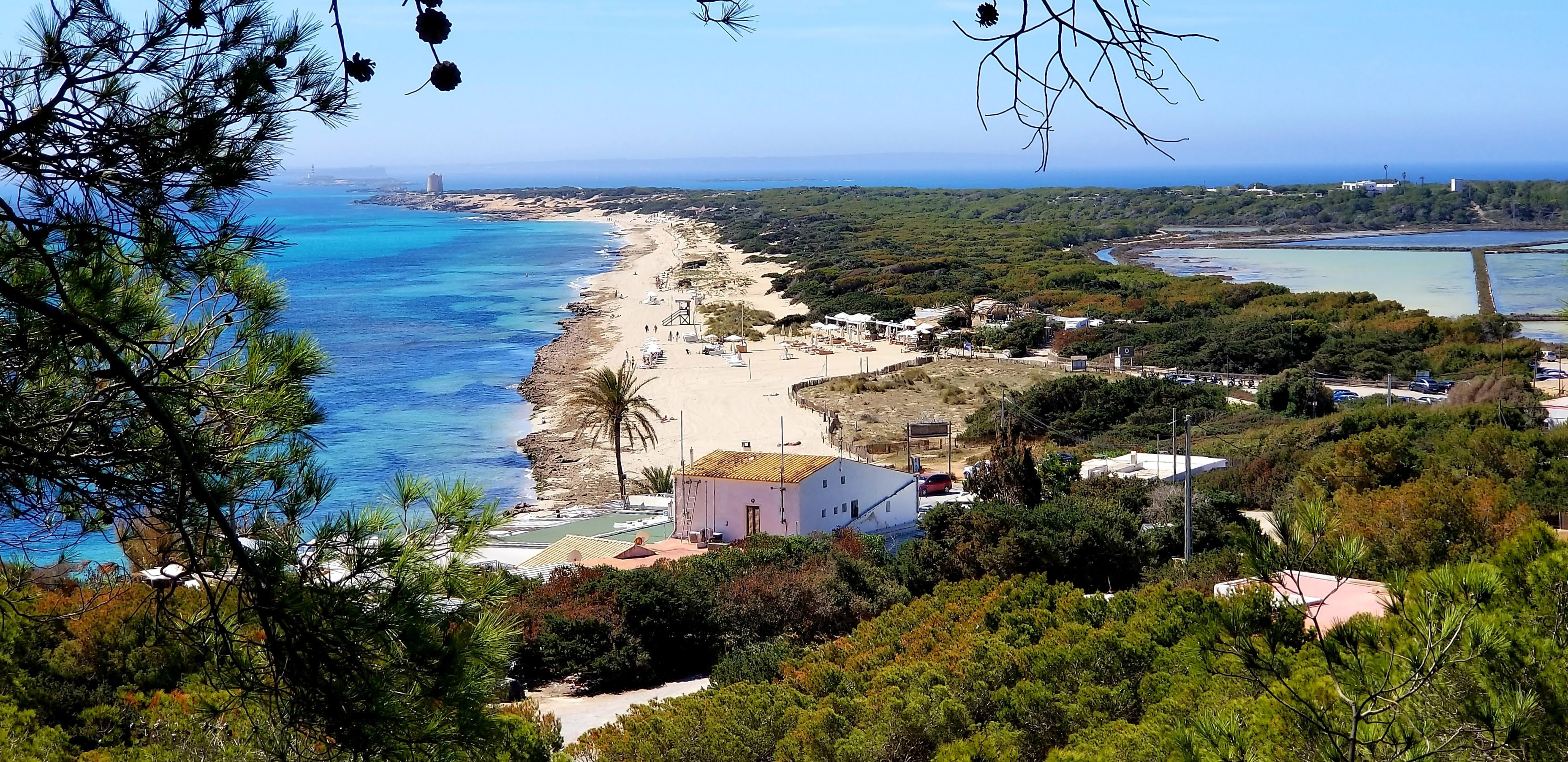 Sandy beach, turquoise sea, pine forest, coastal houses, and salt flats.
