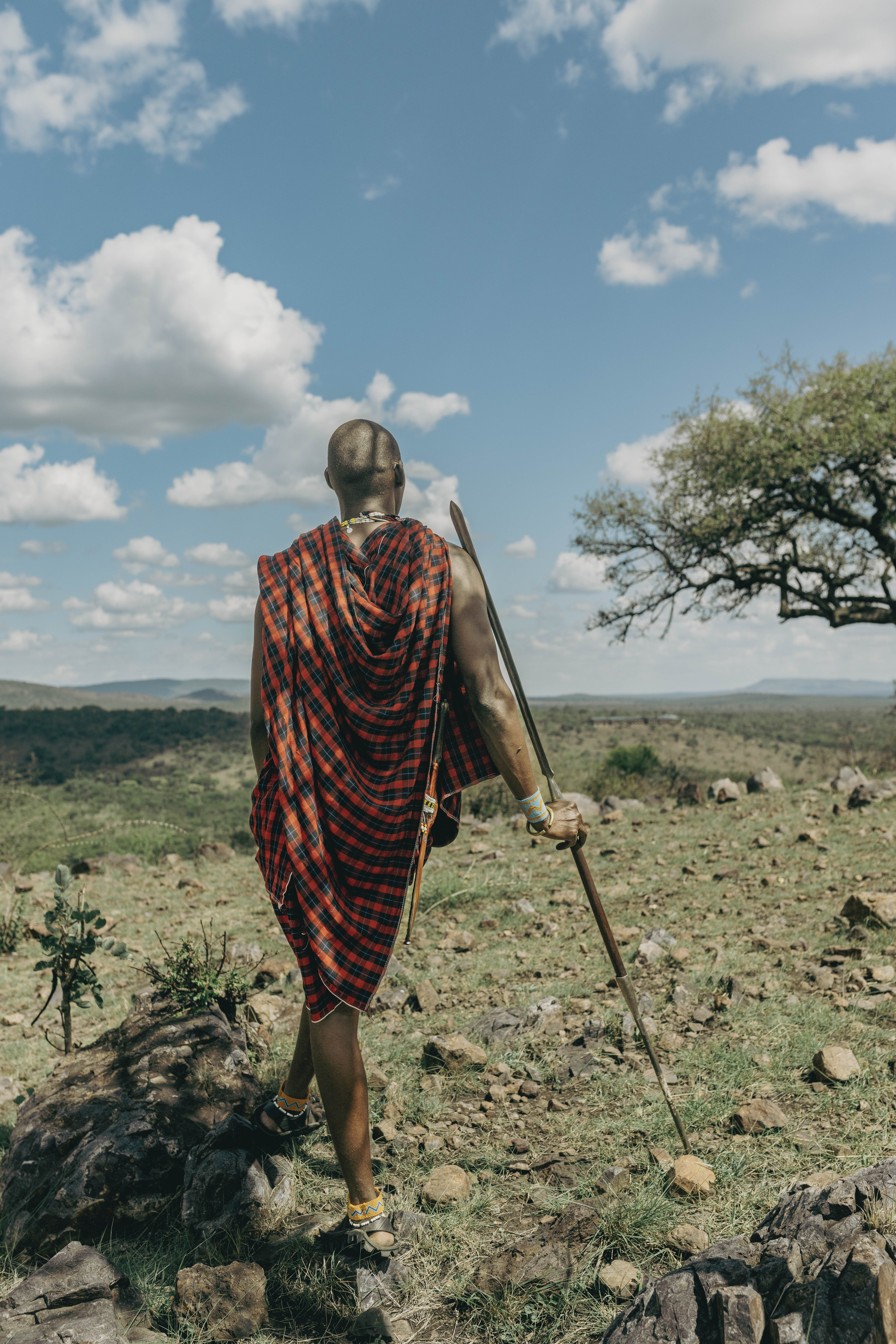 Maasai warrior in shuka and beads, holding spear, overlooking African savanna.