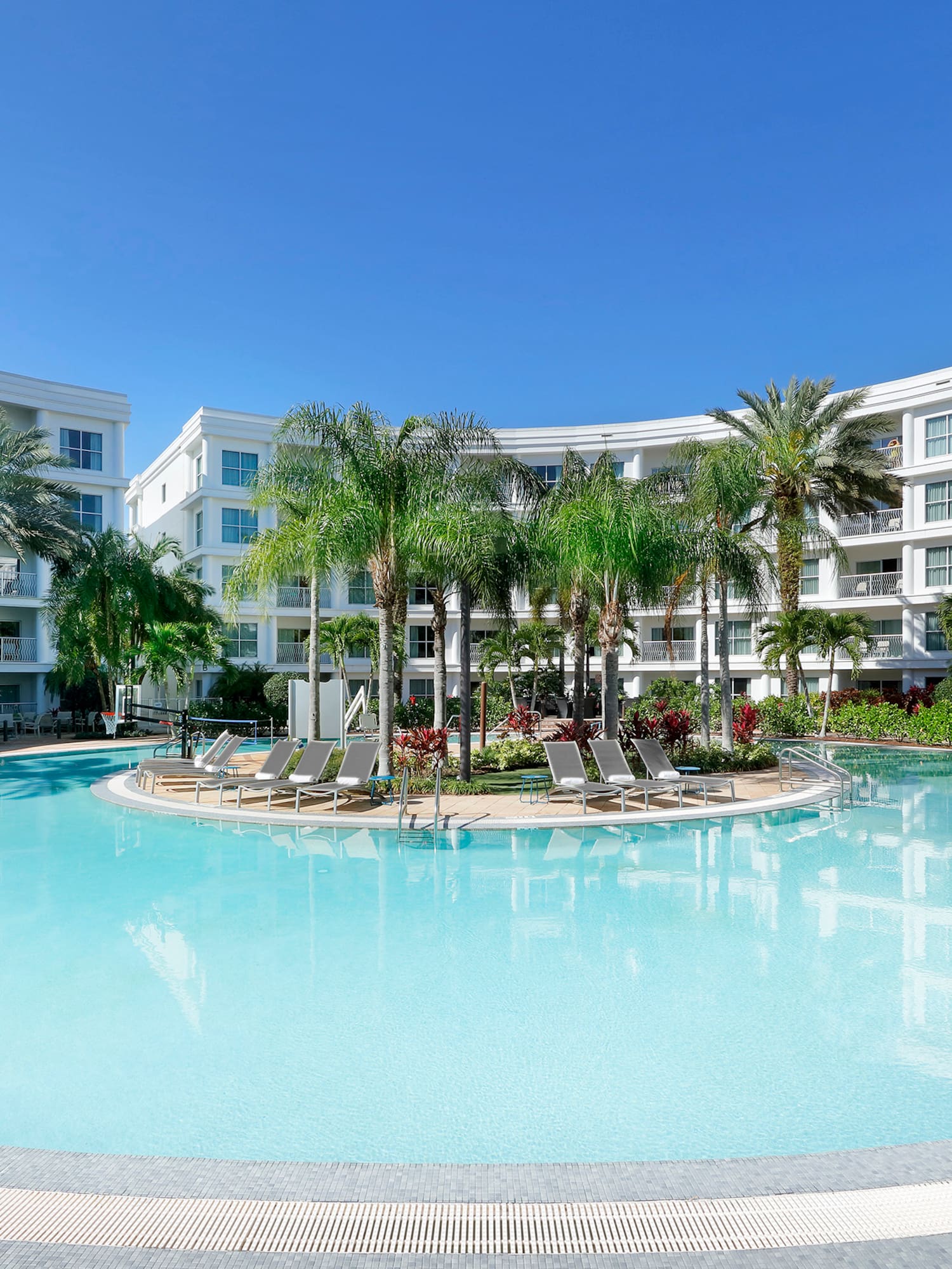 a pool with palm trees and a building with a pool