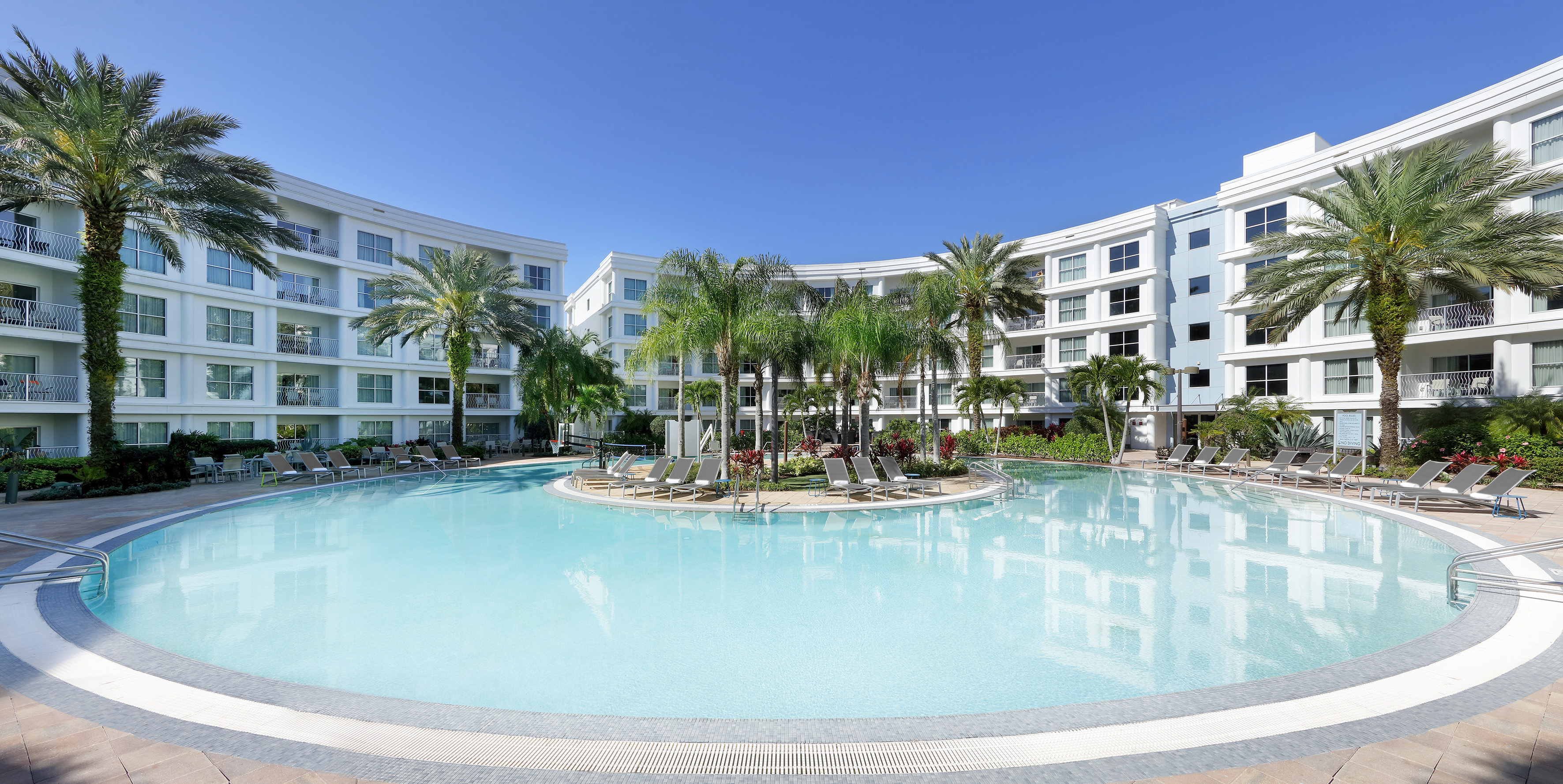 Tropical resort pool with curved hotel buildings and lush palm trees.