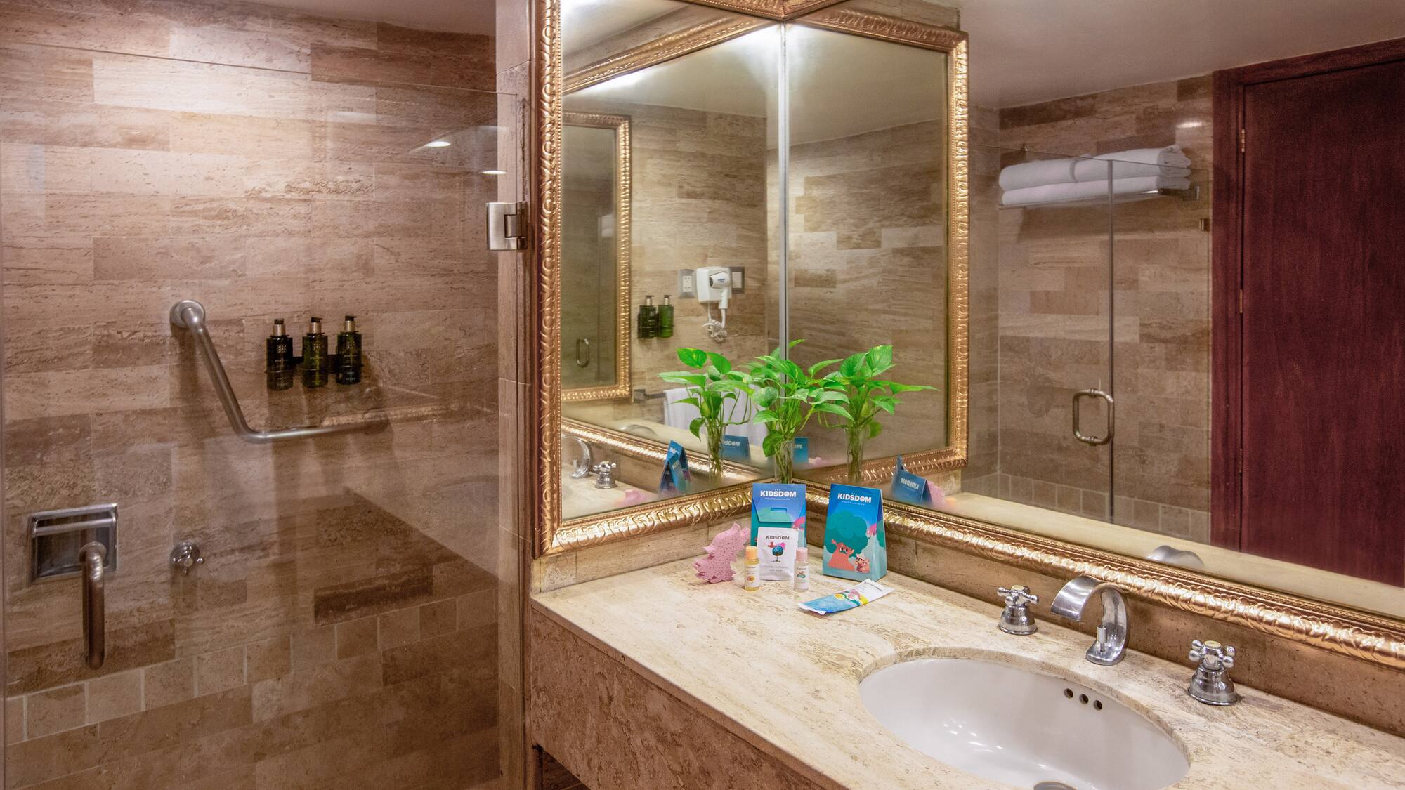 a bathroom with a mirror and a sink