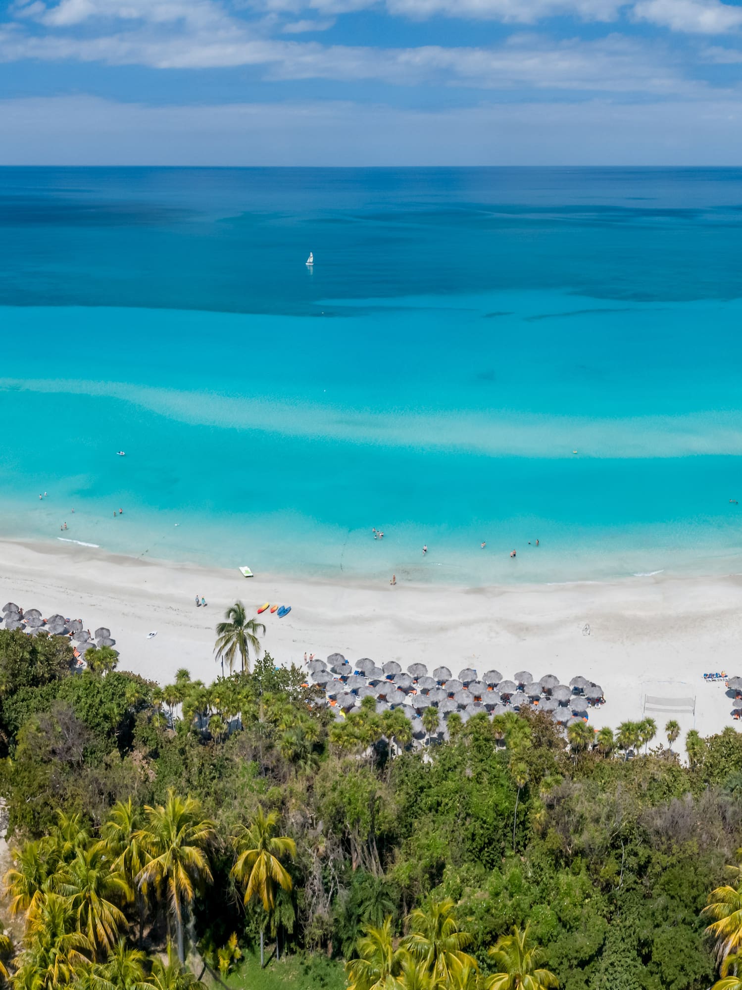 a beach with umbrellas and trees