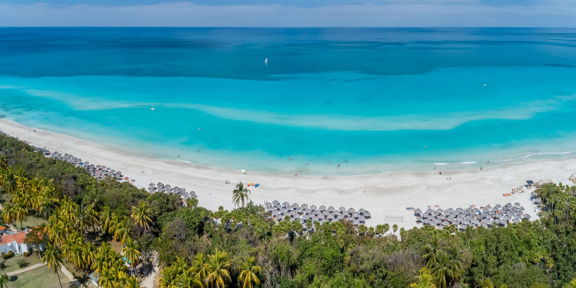 a beach with umbrellas and trees