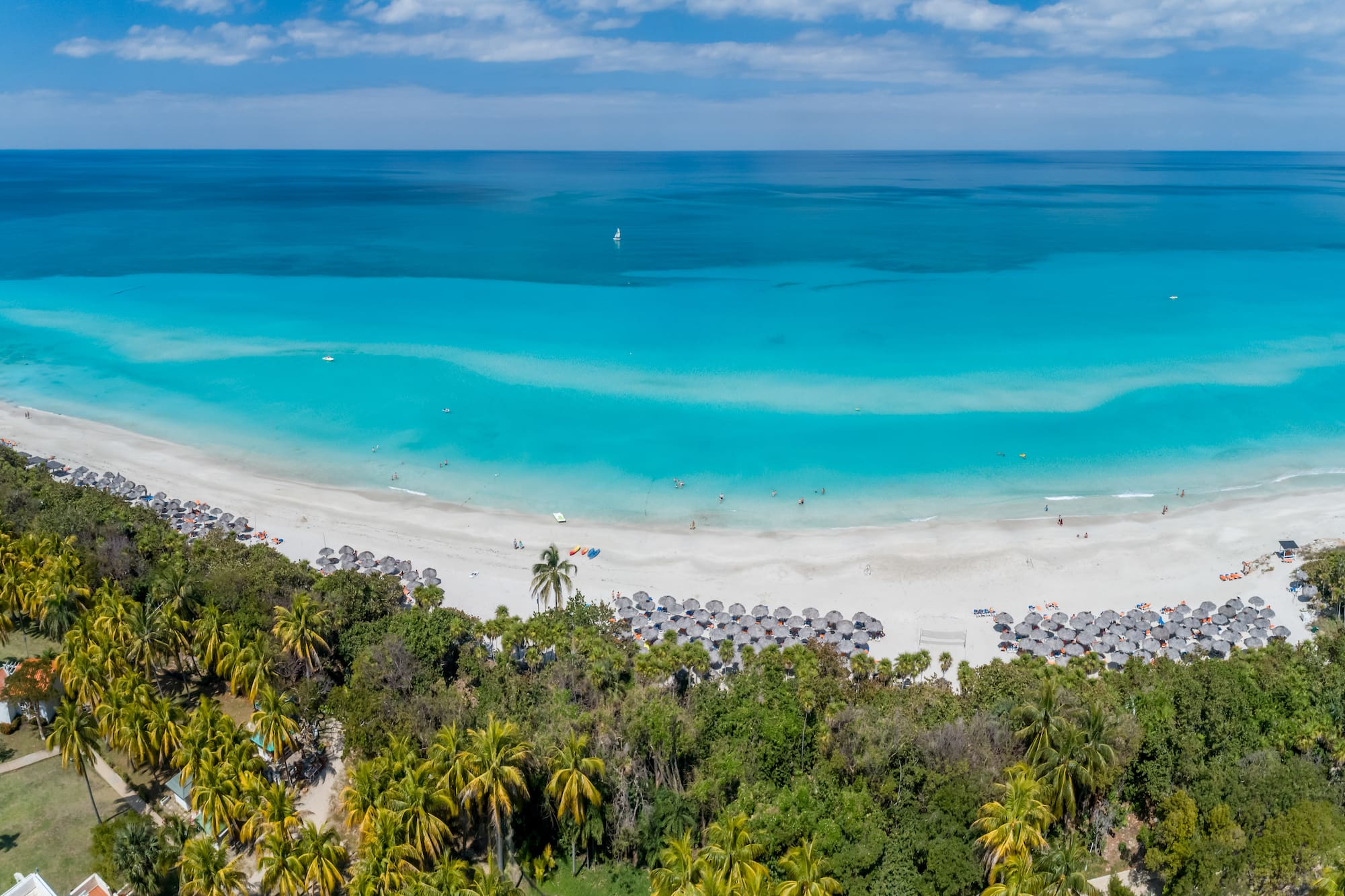a beach with umbrellas and trees