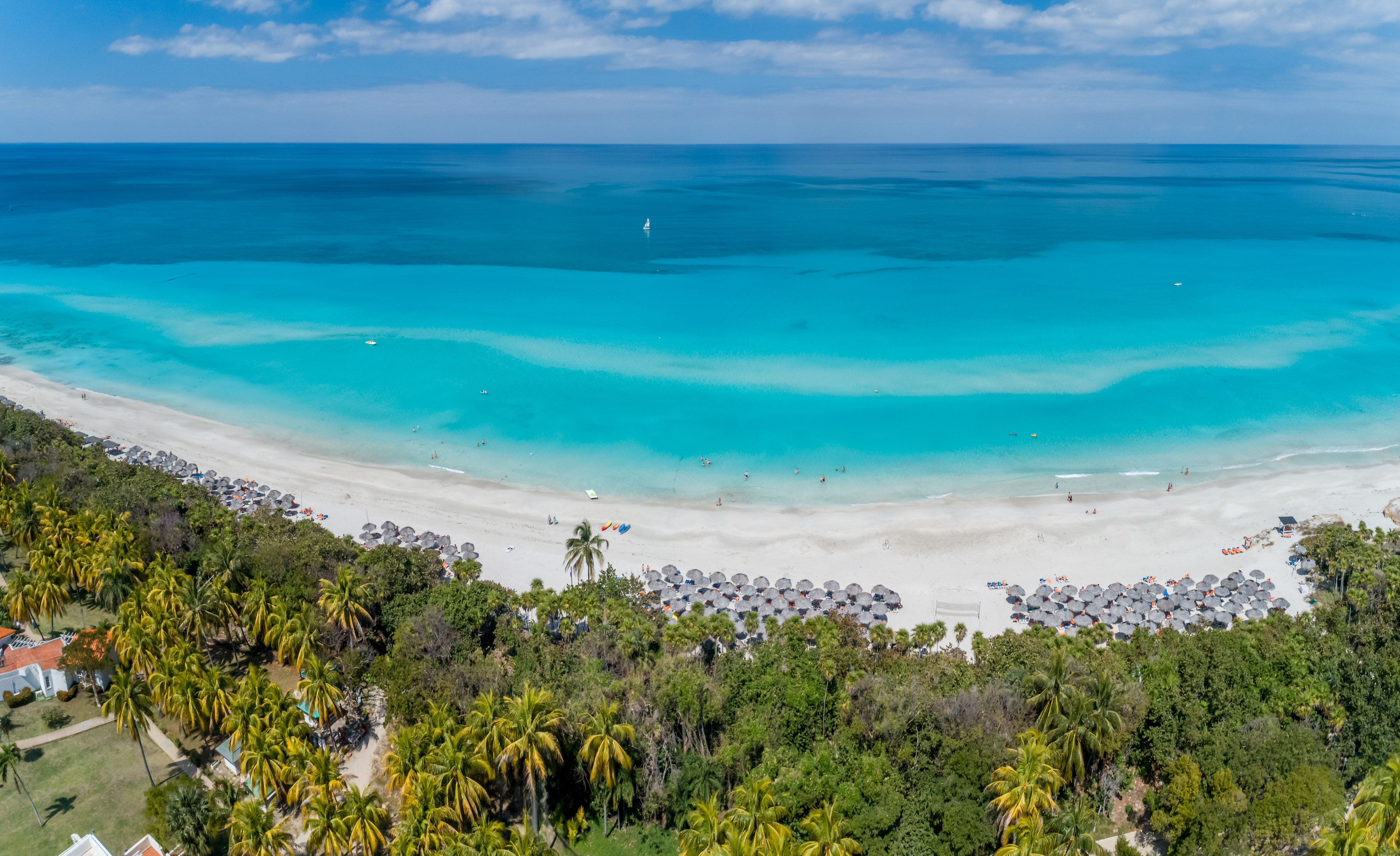 a beach with umbrellas and trees