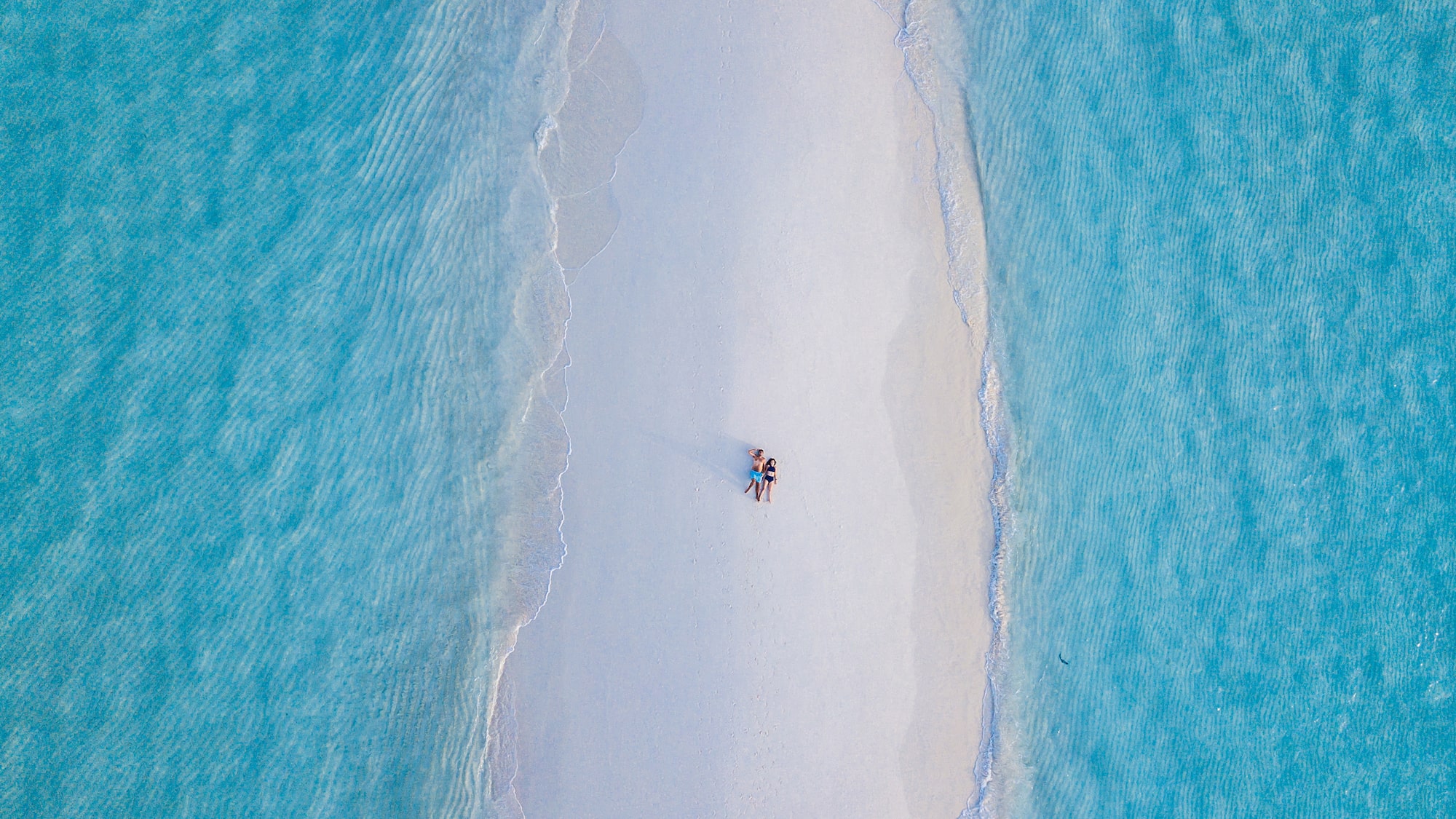 a group of people on a beach