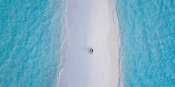 a group of people on a beach