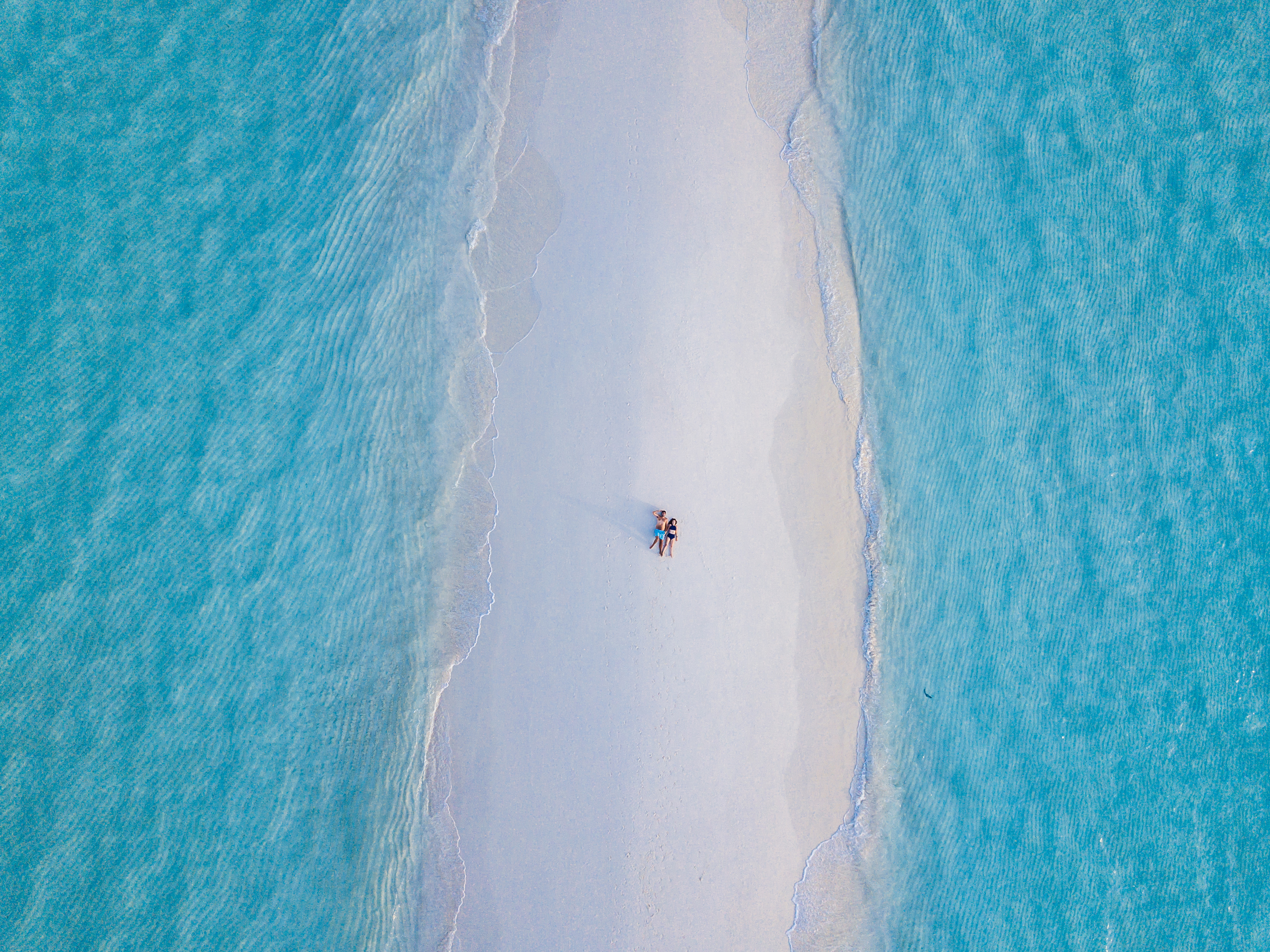 a group of people on a beach