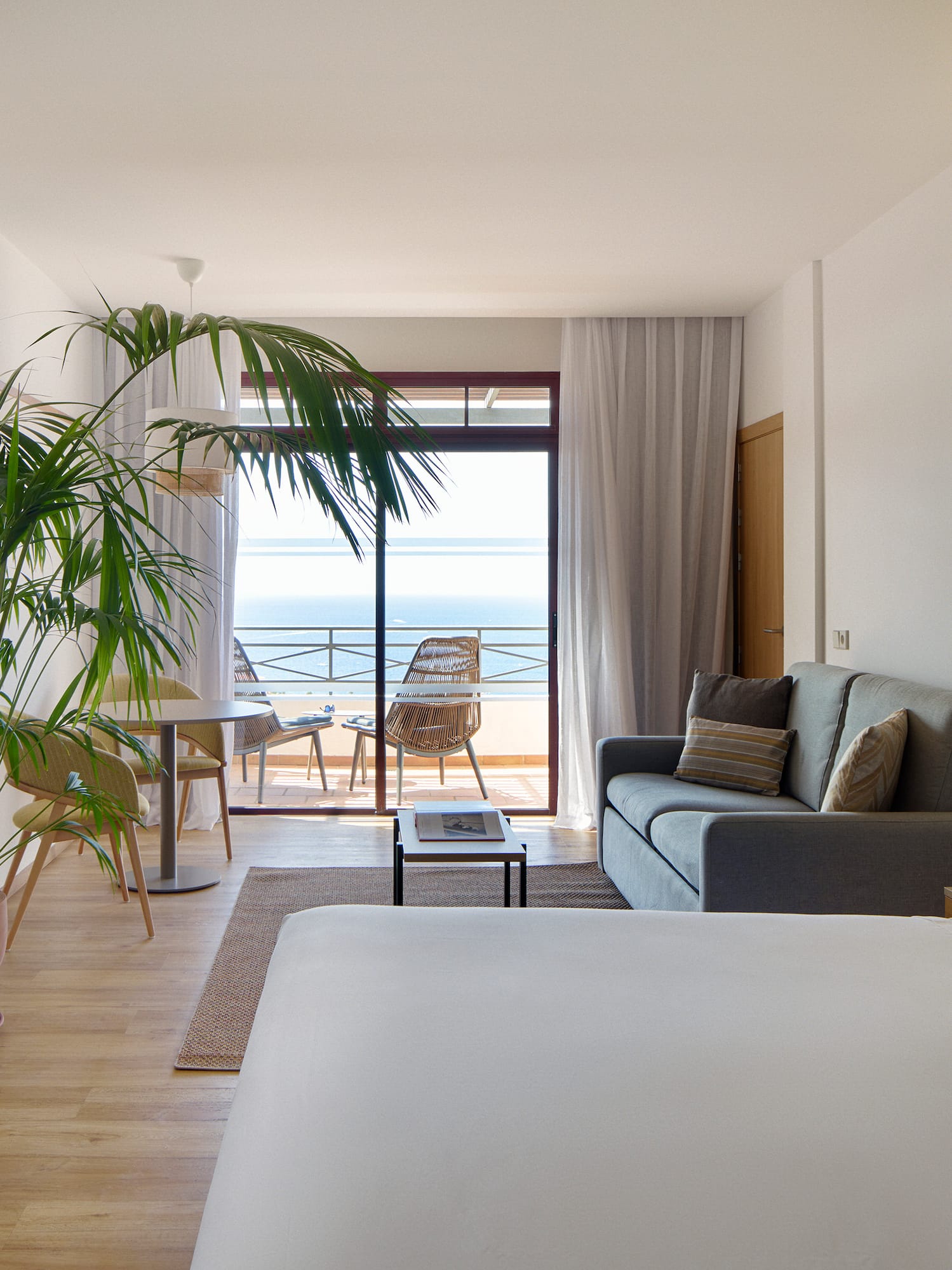 a room with a bed and a couch and a plant