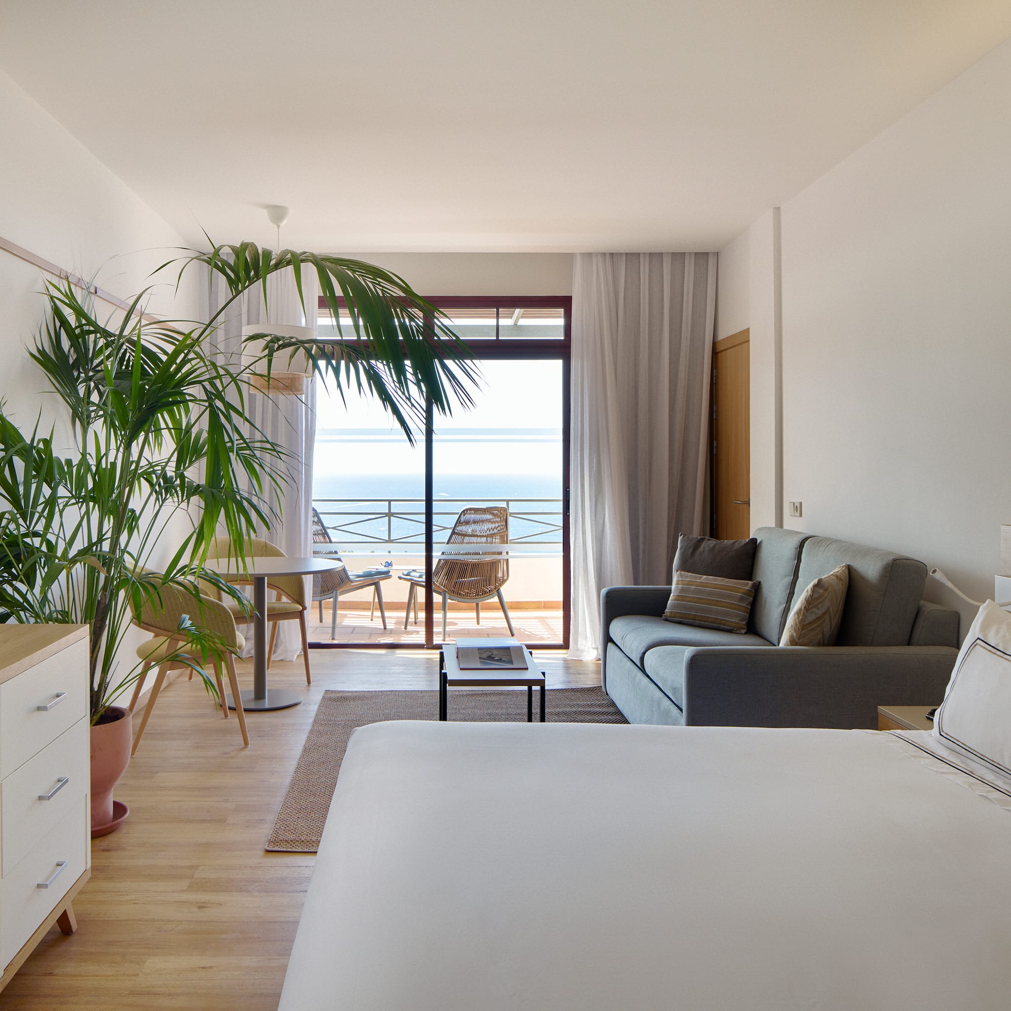 a room with a bed and a couch and a plant