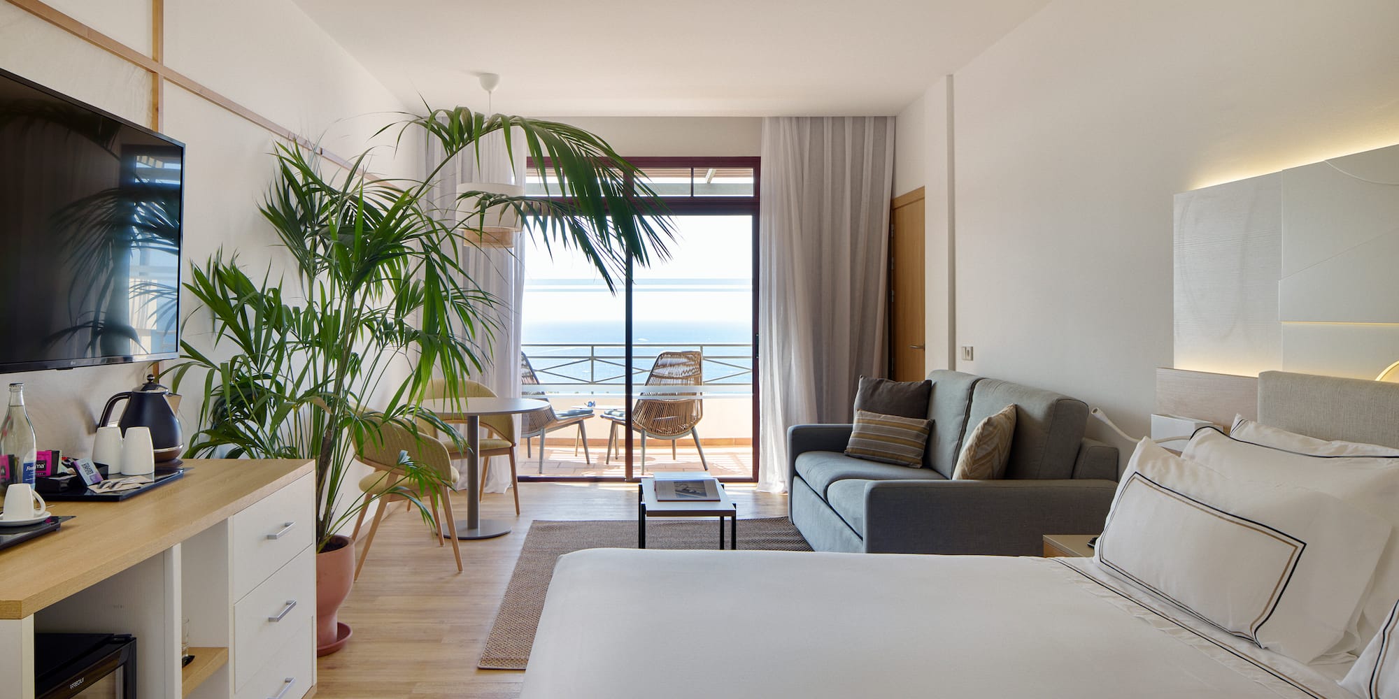 a room with a bed and a couch and a plant