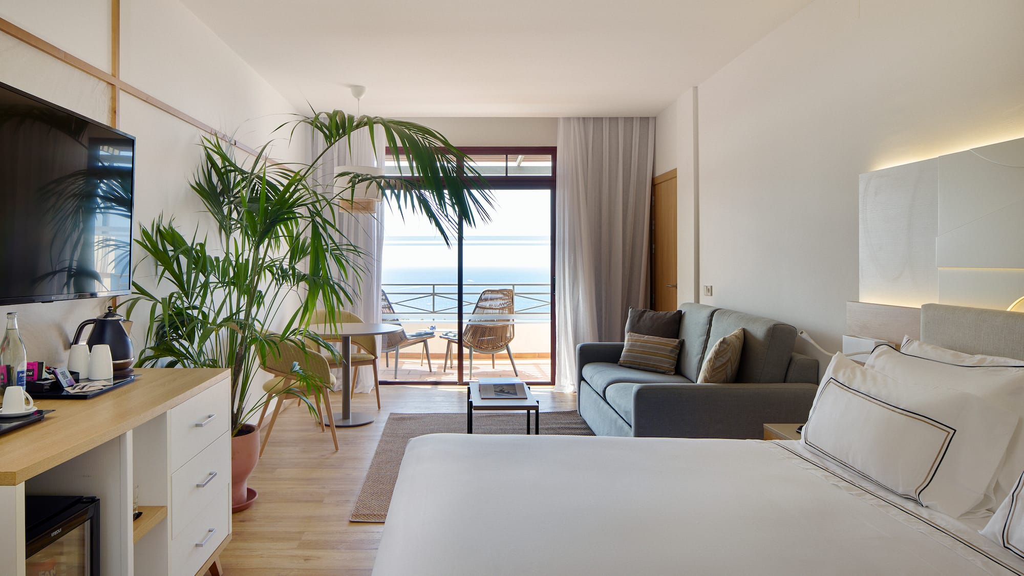 a room with a bed and a couch and a plant