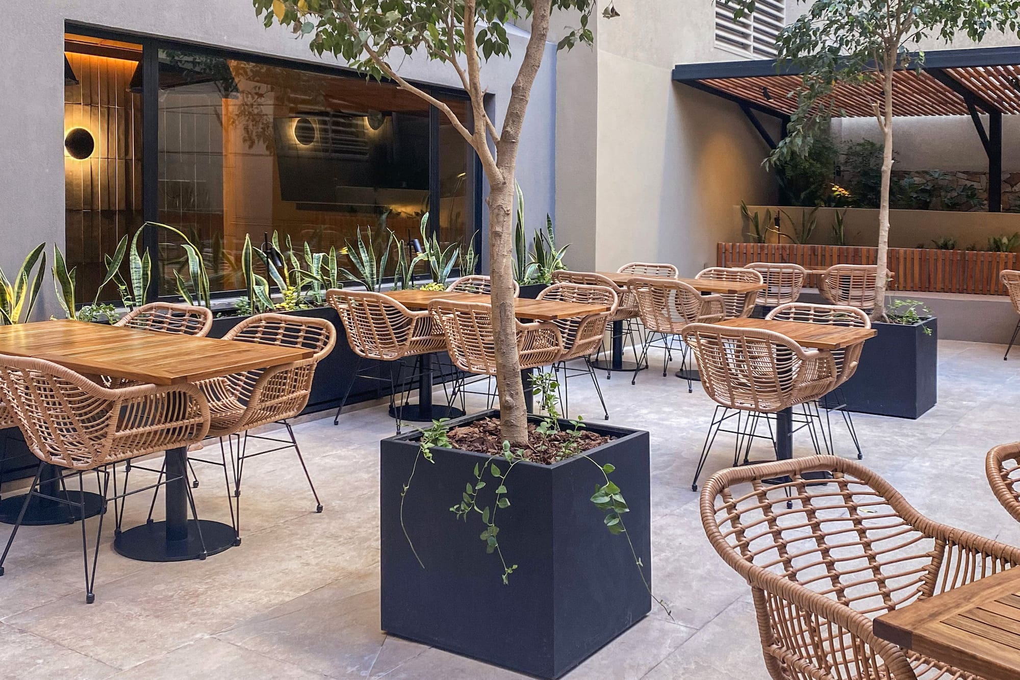 Modern outdoor cafe patio with wicker chairs, wooden tables, and potted trees.