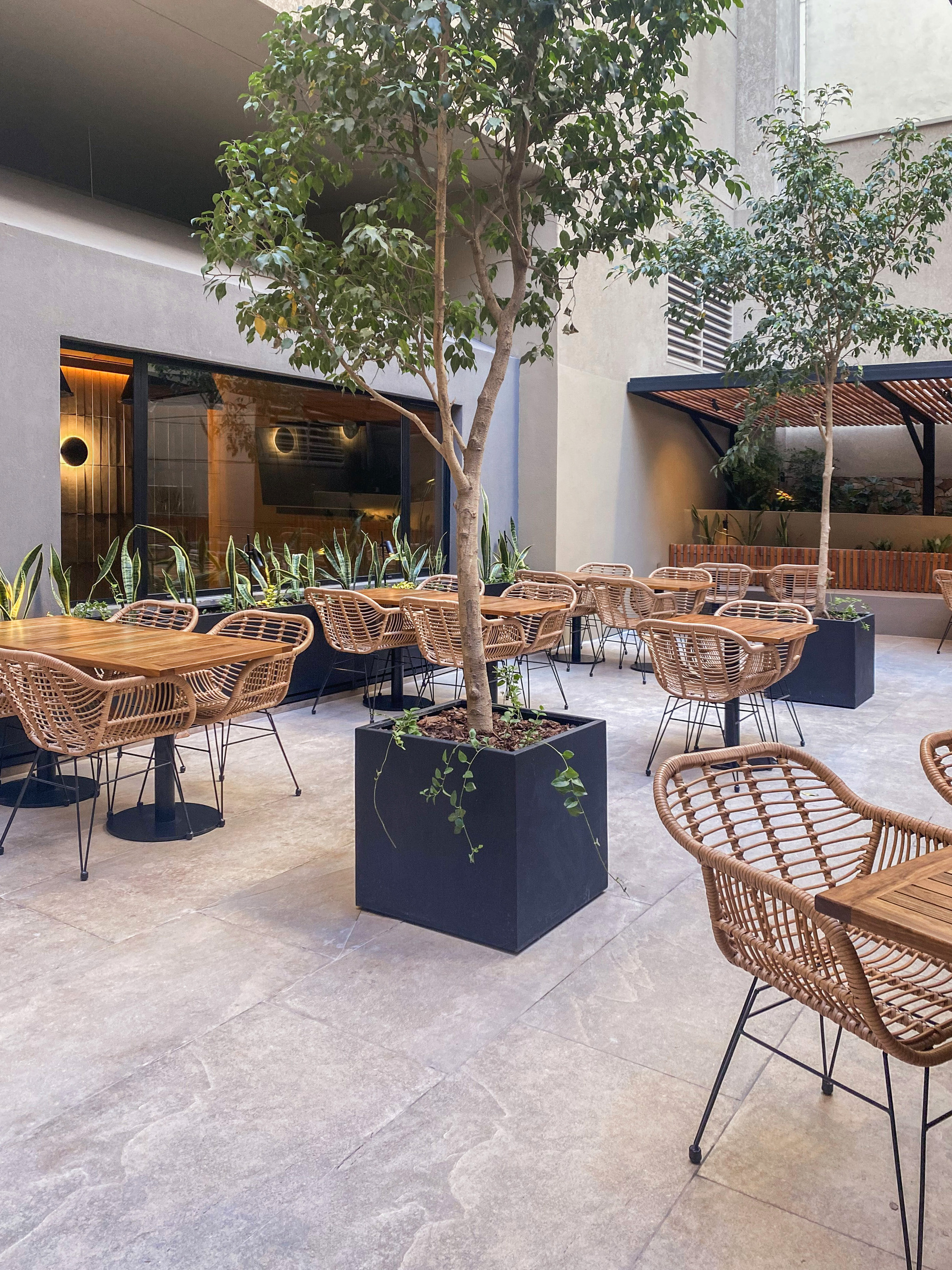 Modern outdoor cafe patio with wicker chairs, wooden tables, and potted trees.
