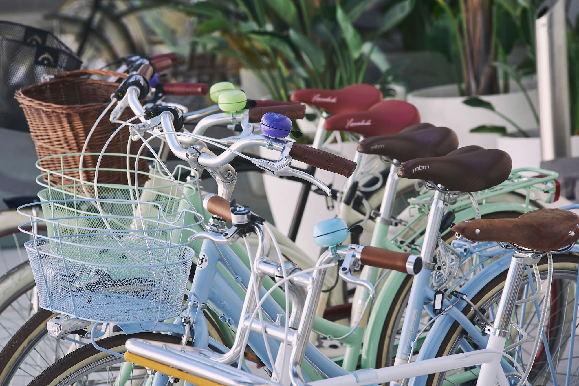 a group of bicycles parked in a row