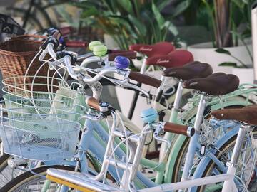 a group of bicycles parked in a row