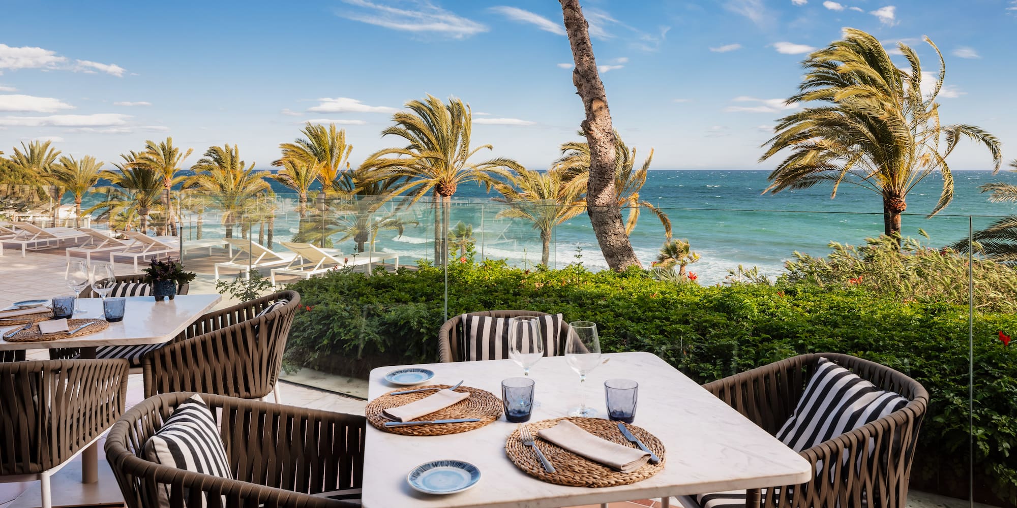 a beach with palm trees and a body of water