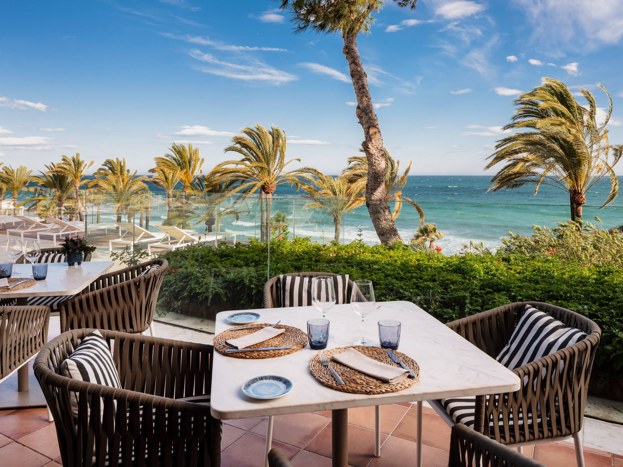 a beach with palm trees and a body of water