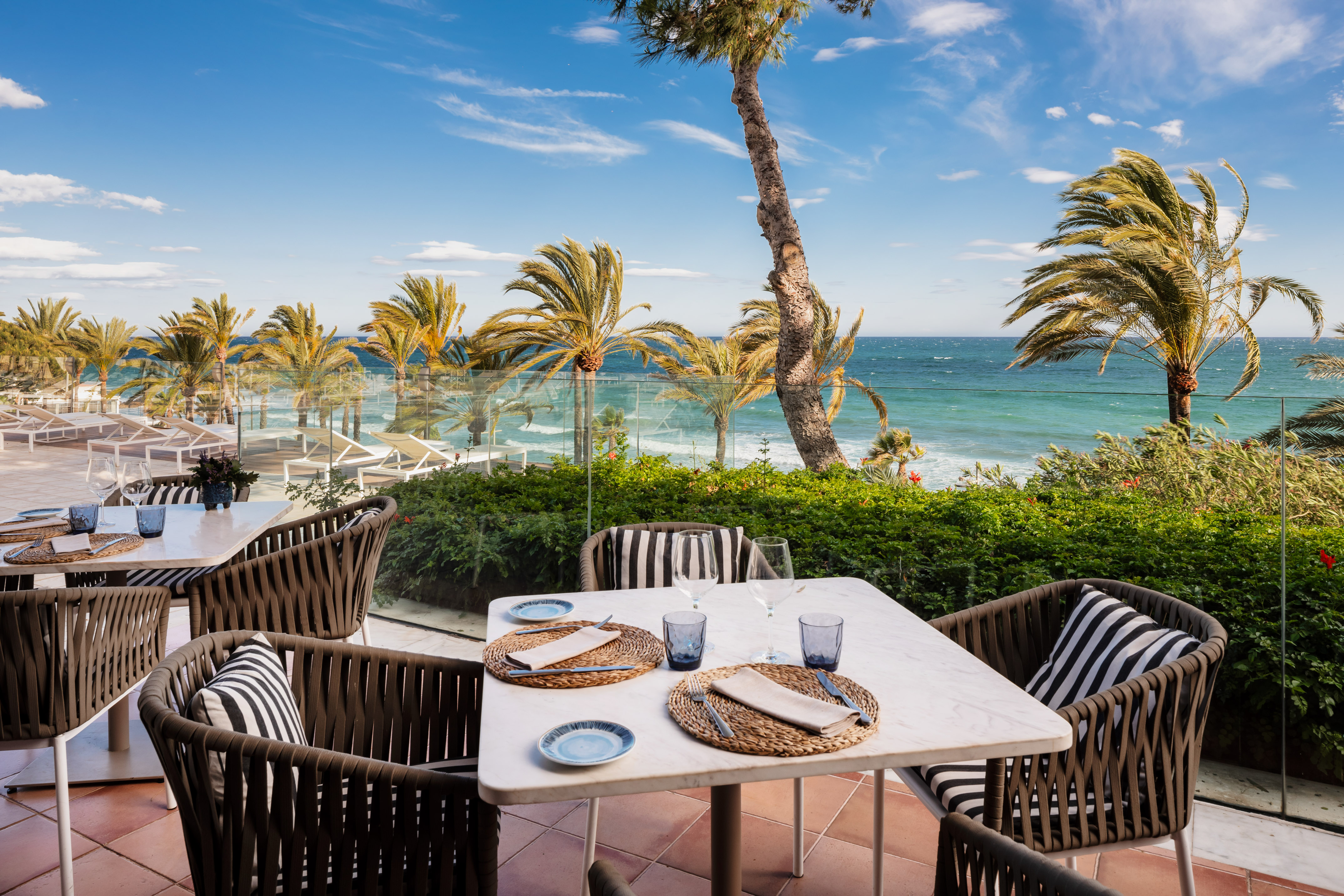 Tropical resort patio with palm trees, lounge chairs, and turquoise ocean.