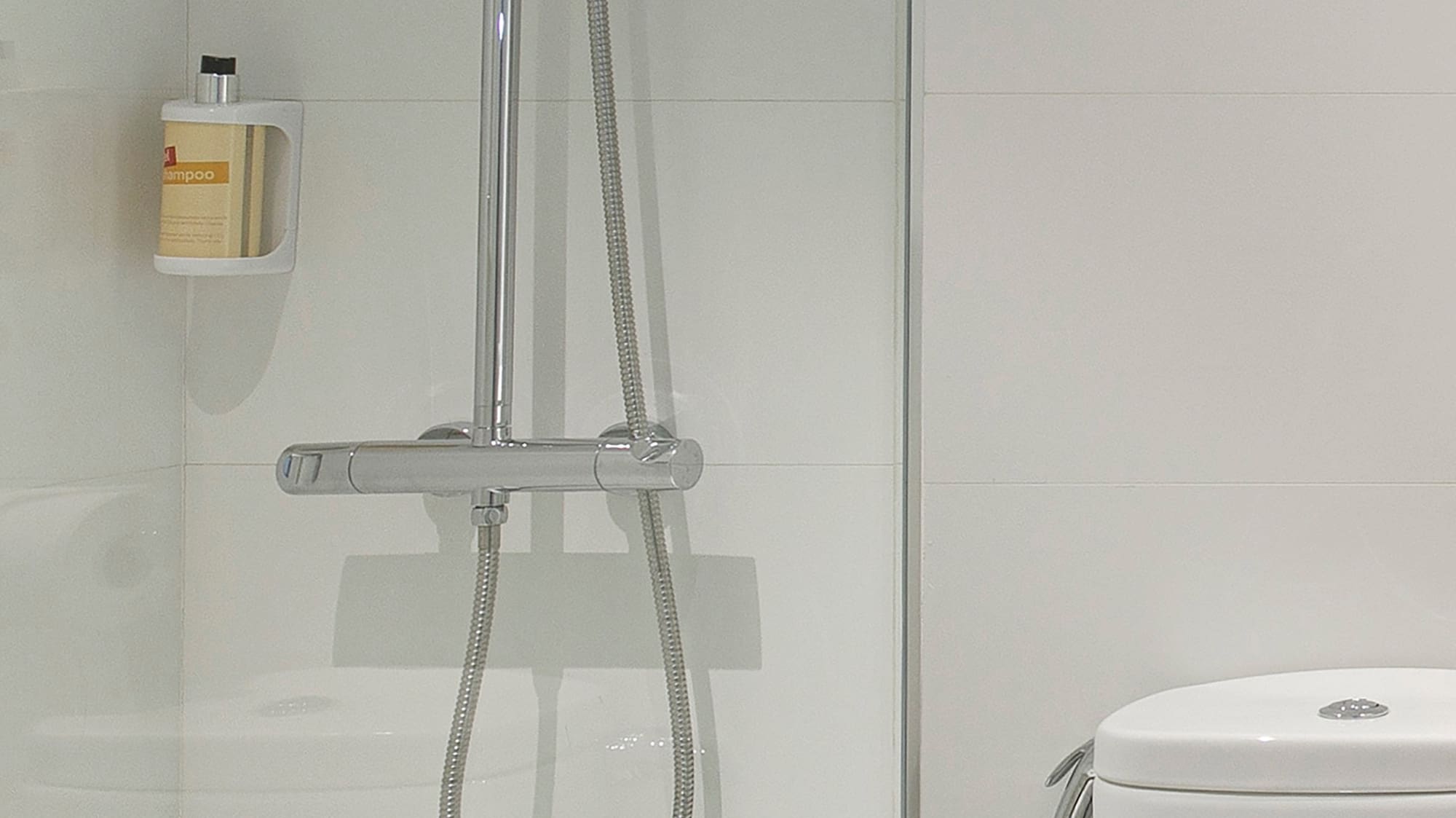 a shower with a hose and a toilet