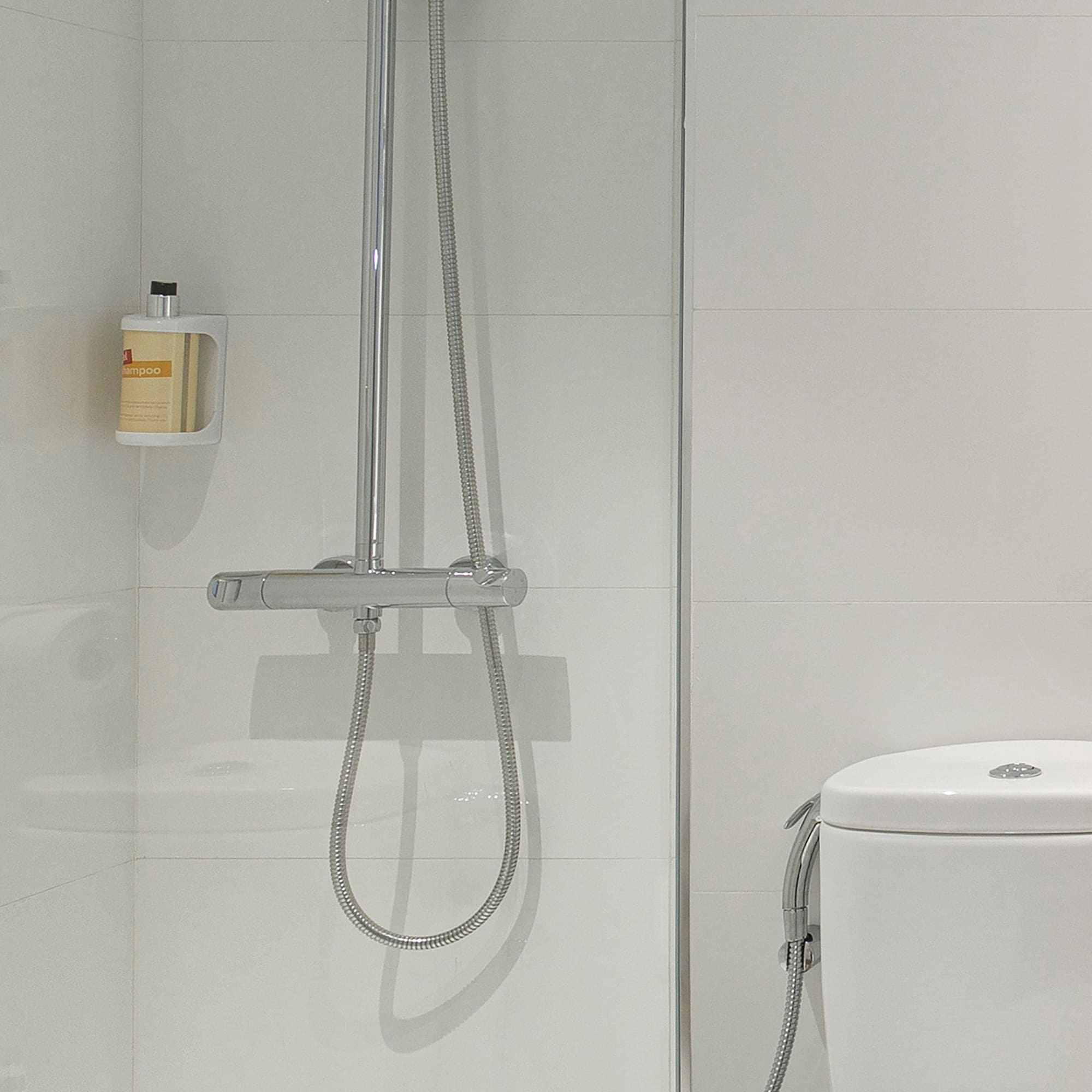 a shower with a hose and a toilet