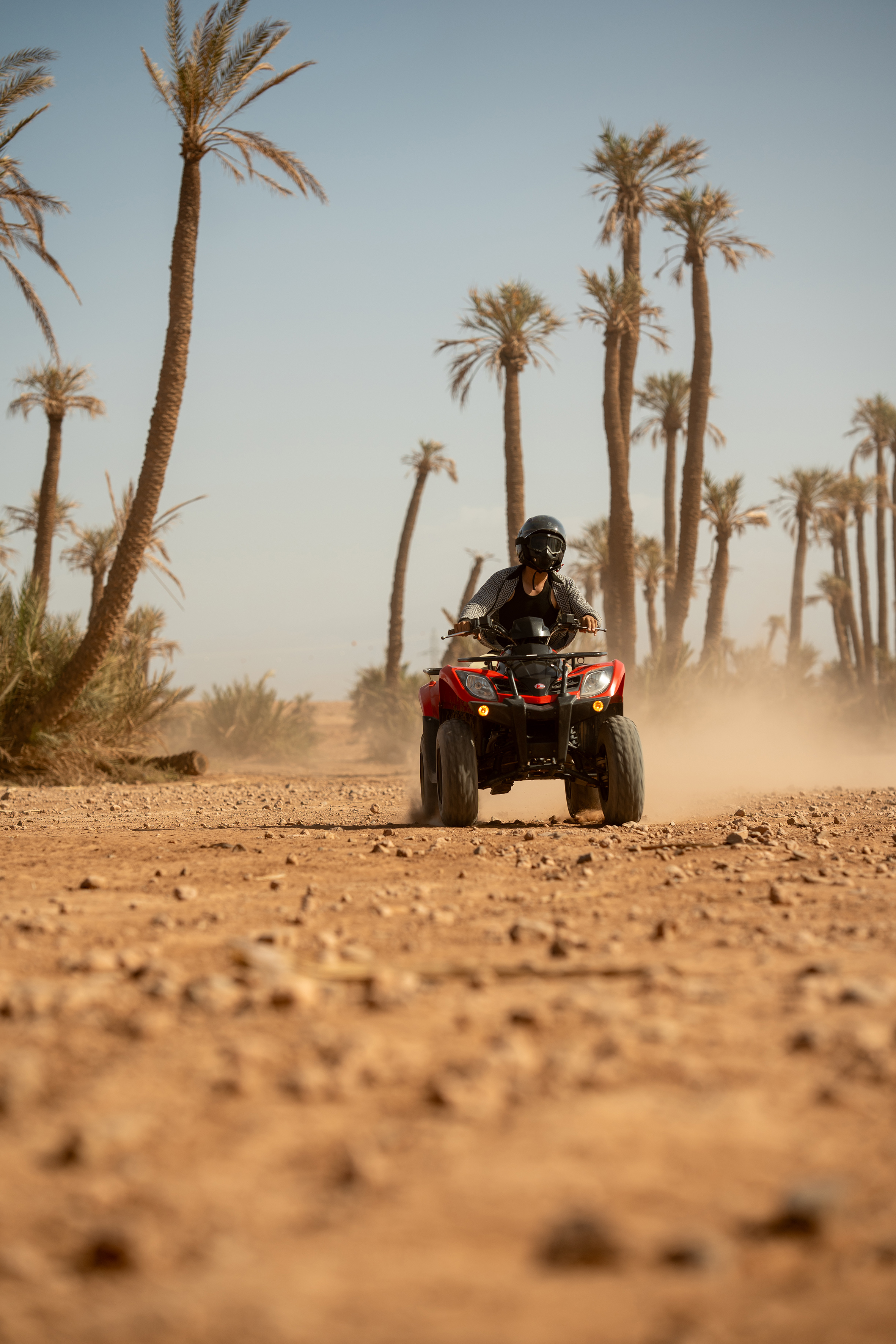 Red quad bike rider kicking up dust on a desert trail with palm trees.