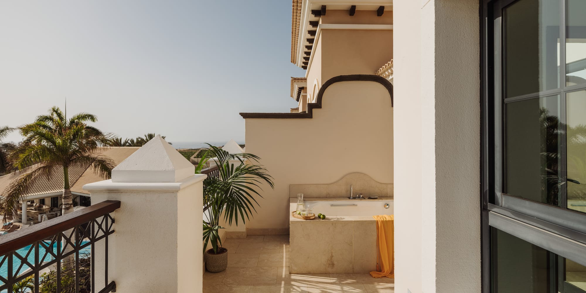 a balcony with a sink and a palm tree