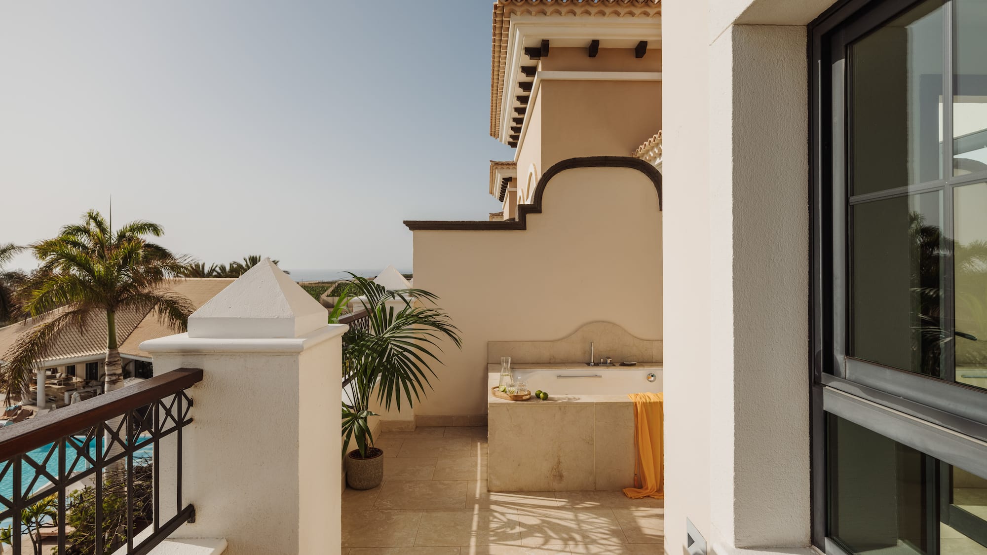 a balcony with a sink and a palm tree