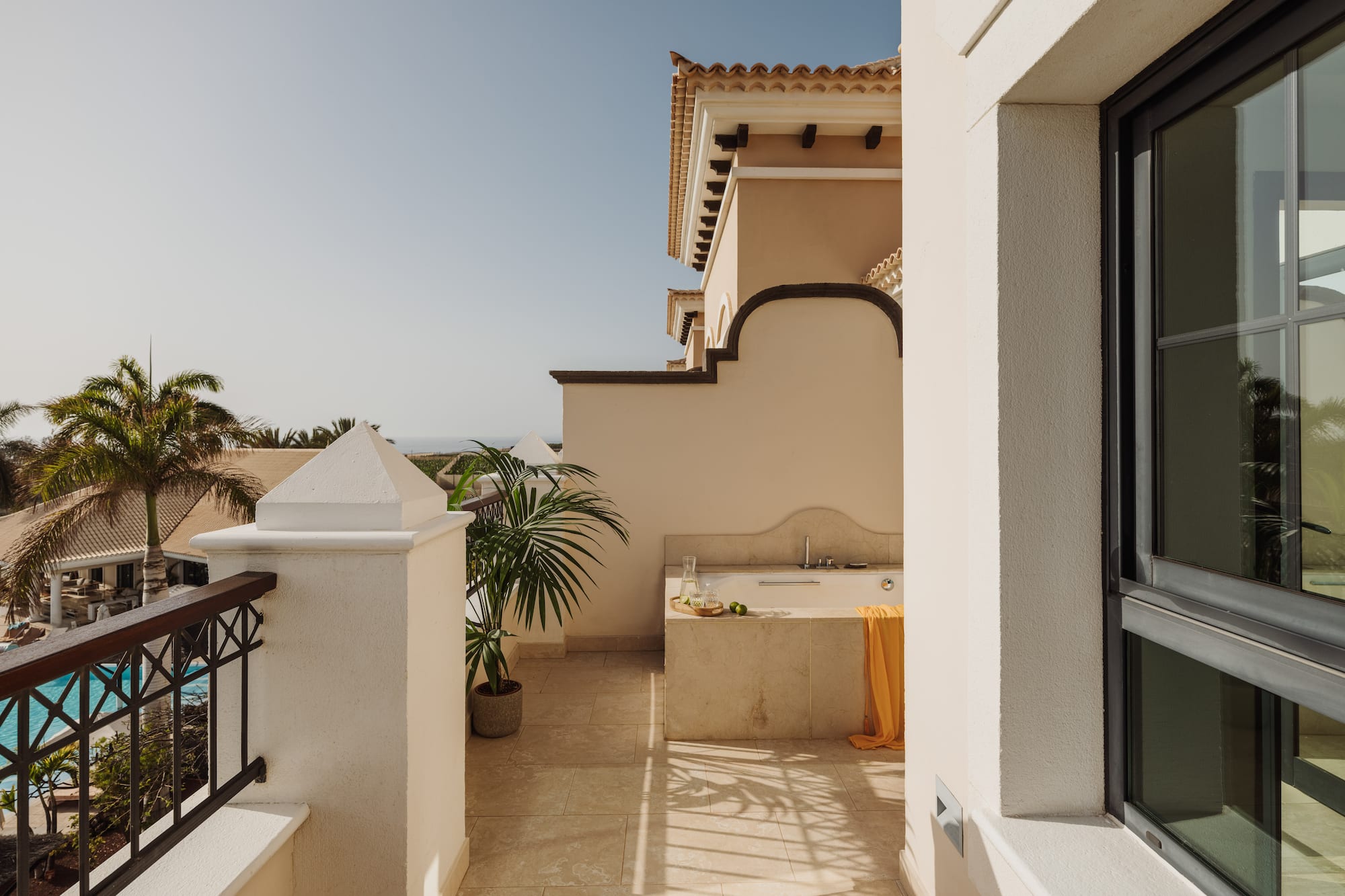 a balcony with a sink and a palm tree