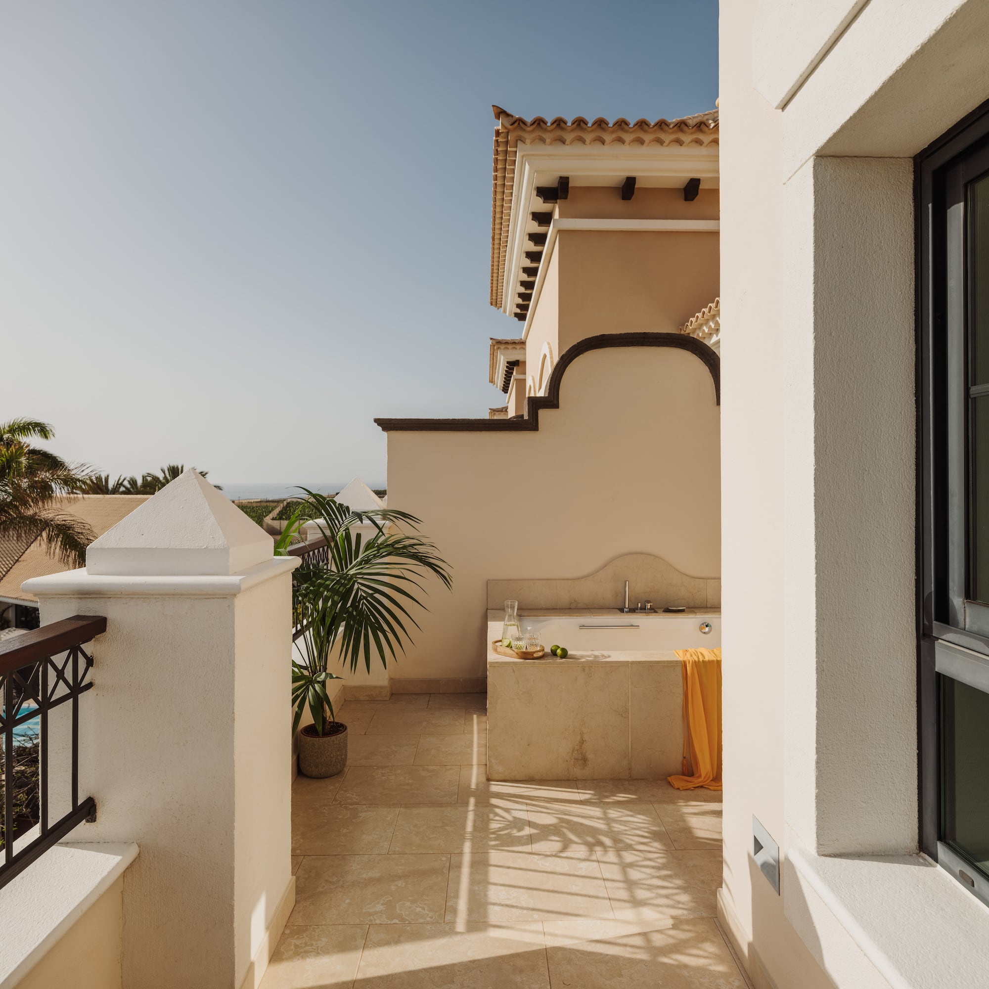 a balcony with a sink and a palm tree